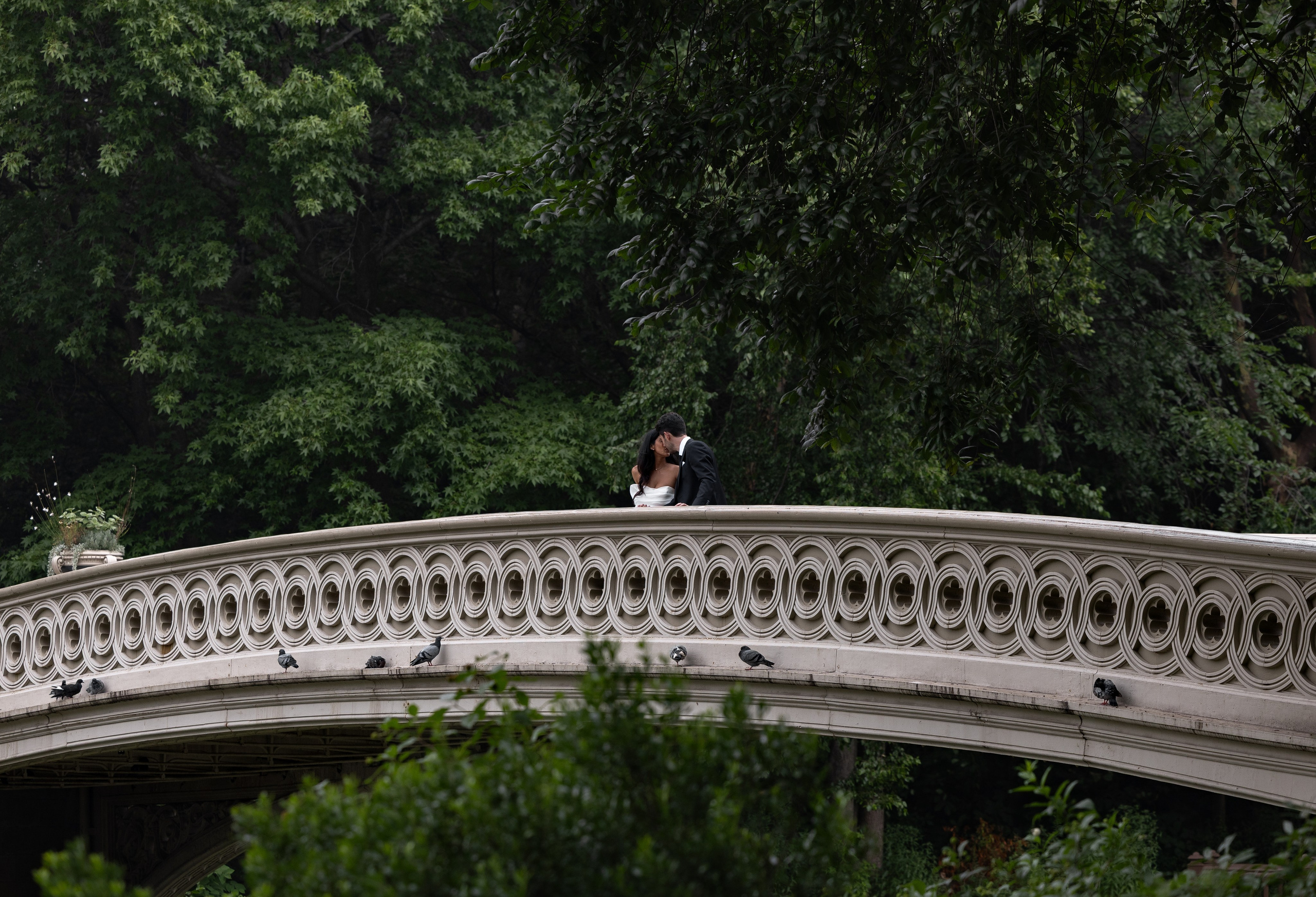 Engagement in Central Park. Photographer Anastasia Nagibina