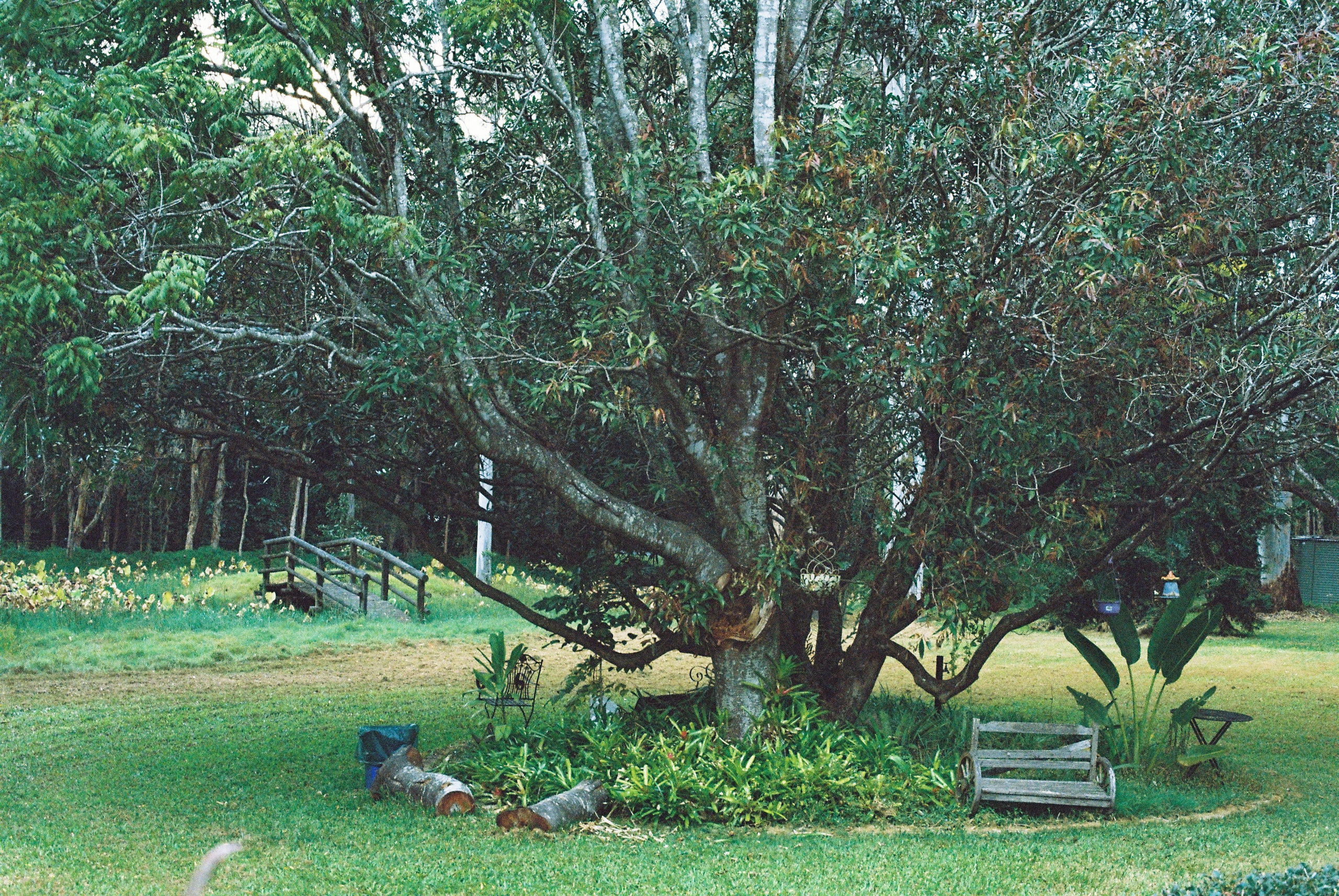 Engagement Party. Film portrait photographer