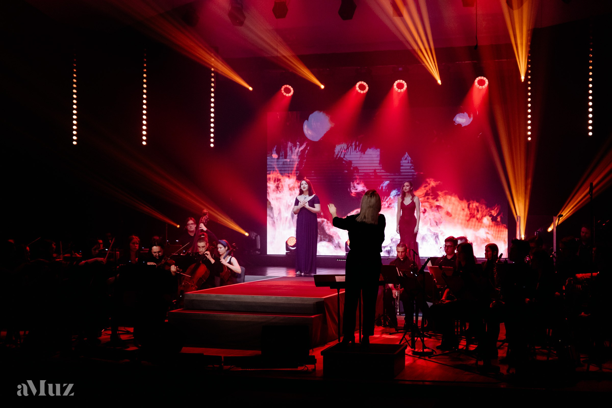 Koncert Amuz.pl. Fotograf Ślubny Warszawa - Sesje Biznesowe Rodzinne Eventy