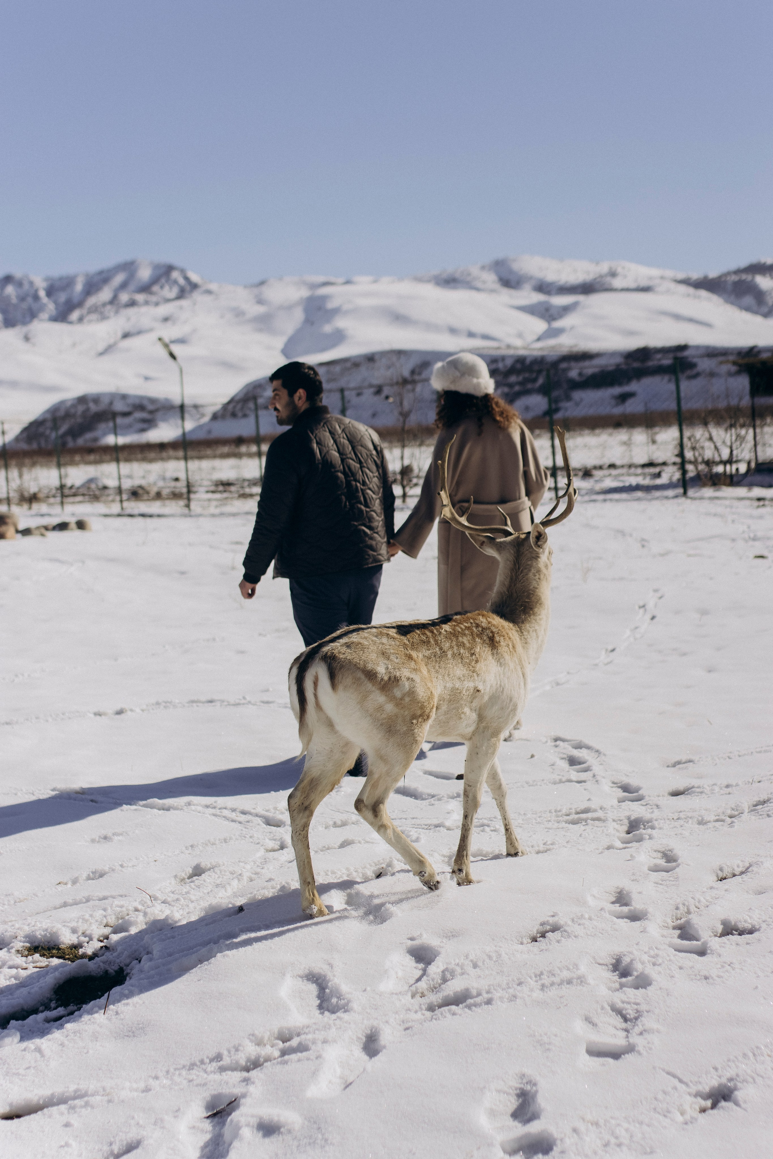 Ойдин и Аждар. Фотограф в Ташкенте, Аксенова Дарья
