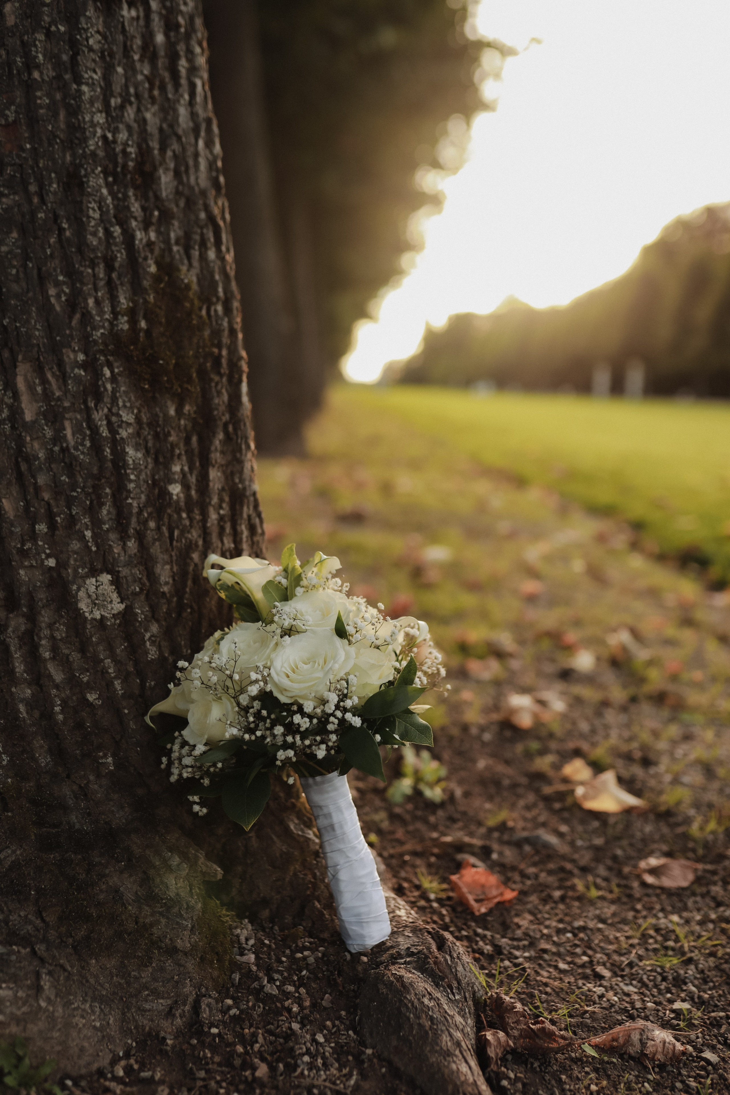 Emotionale Zeremonie in Schwetzingen – Hochzeitsfotografie mit echten Momenten