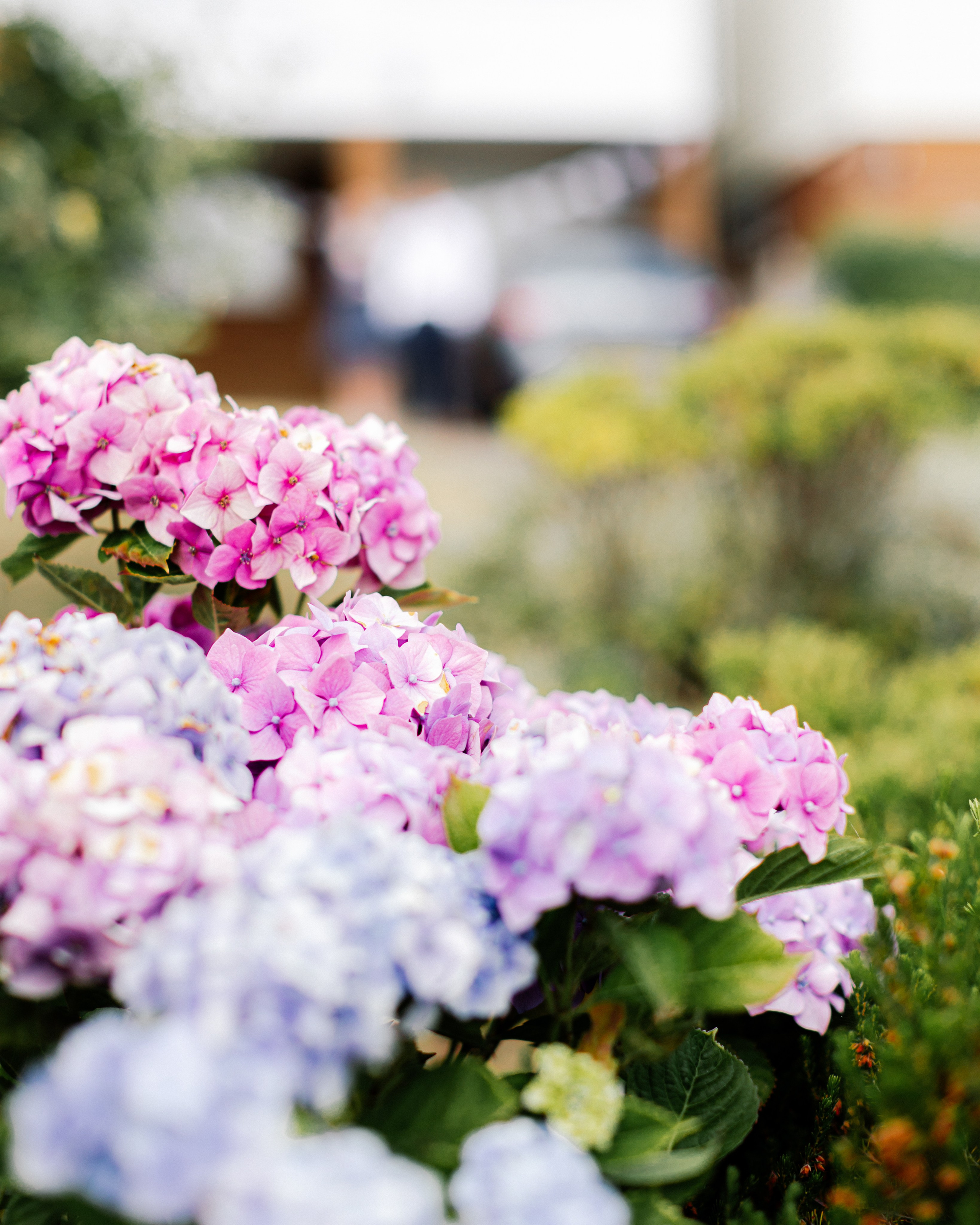 Paula & Ed — Maidstone. August, 2022. Timeless Wedding & Event Photography from London to the world