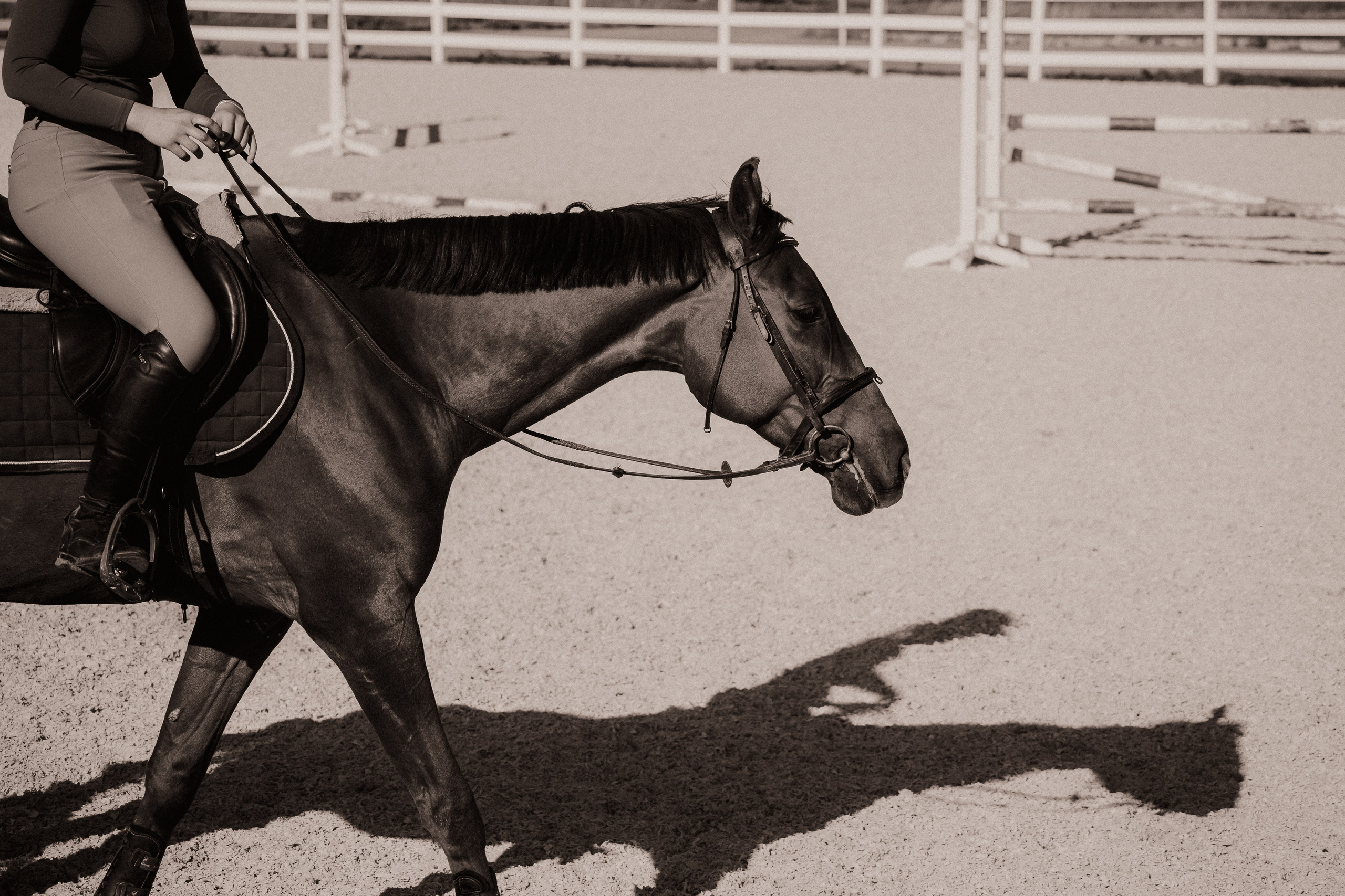 Lidia Golovina, Photographer in Tbilisi