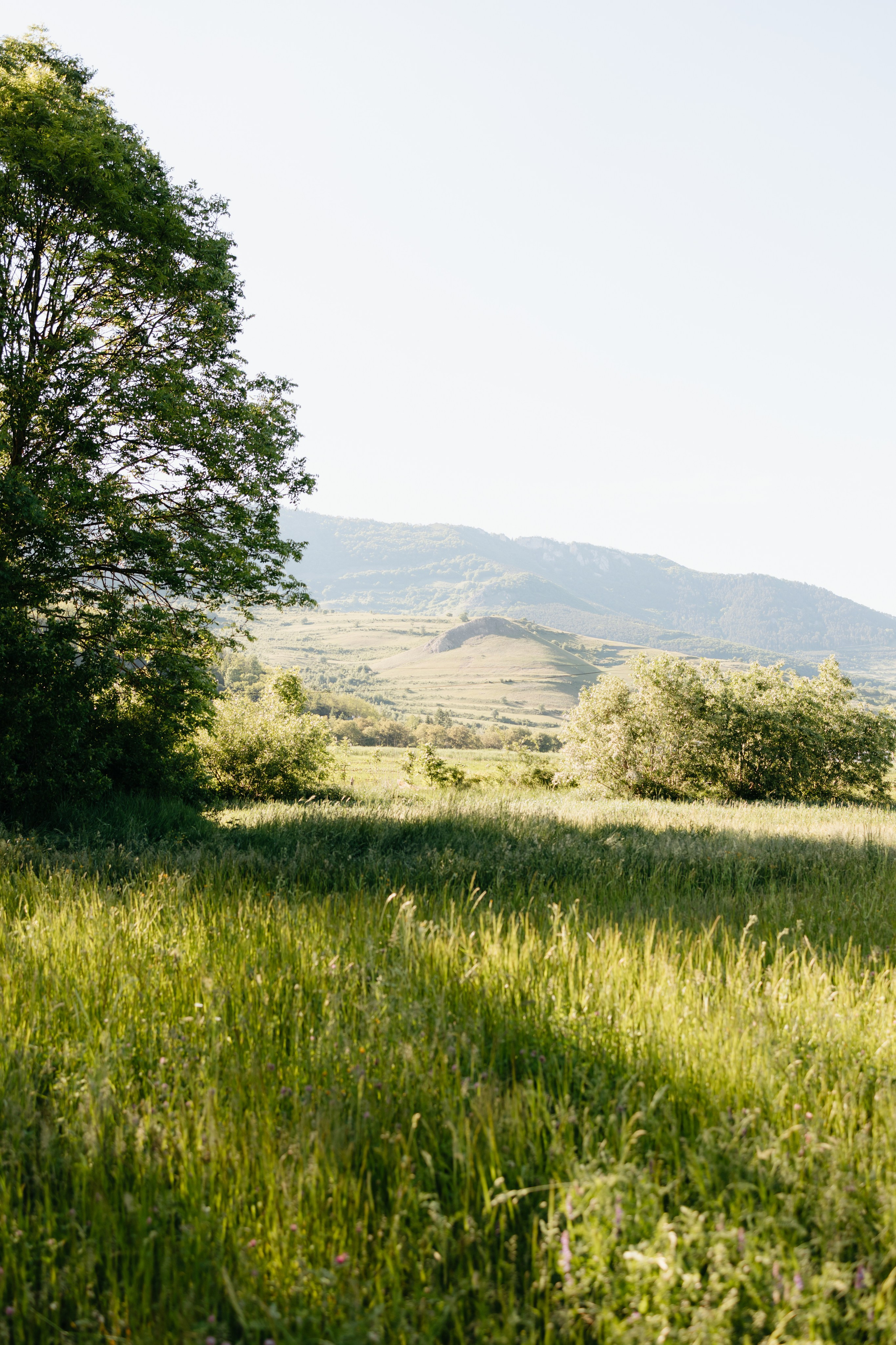 BIANCA & RAUL’S ENGAGEMENT. Wedding Photographer Editorial Storytelling Cluj, Romania & Europe|Lore Photography