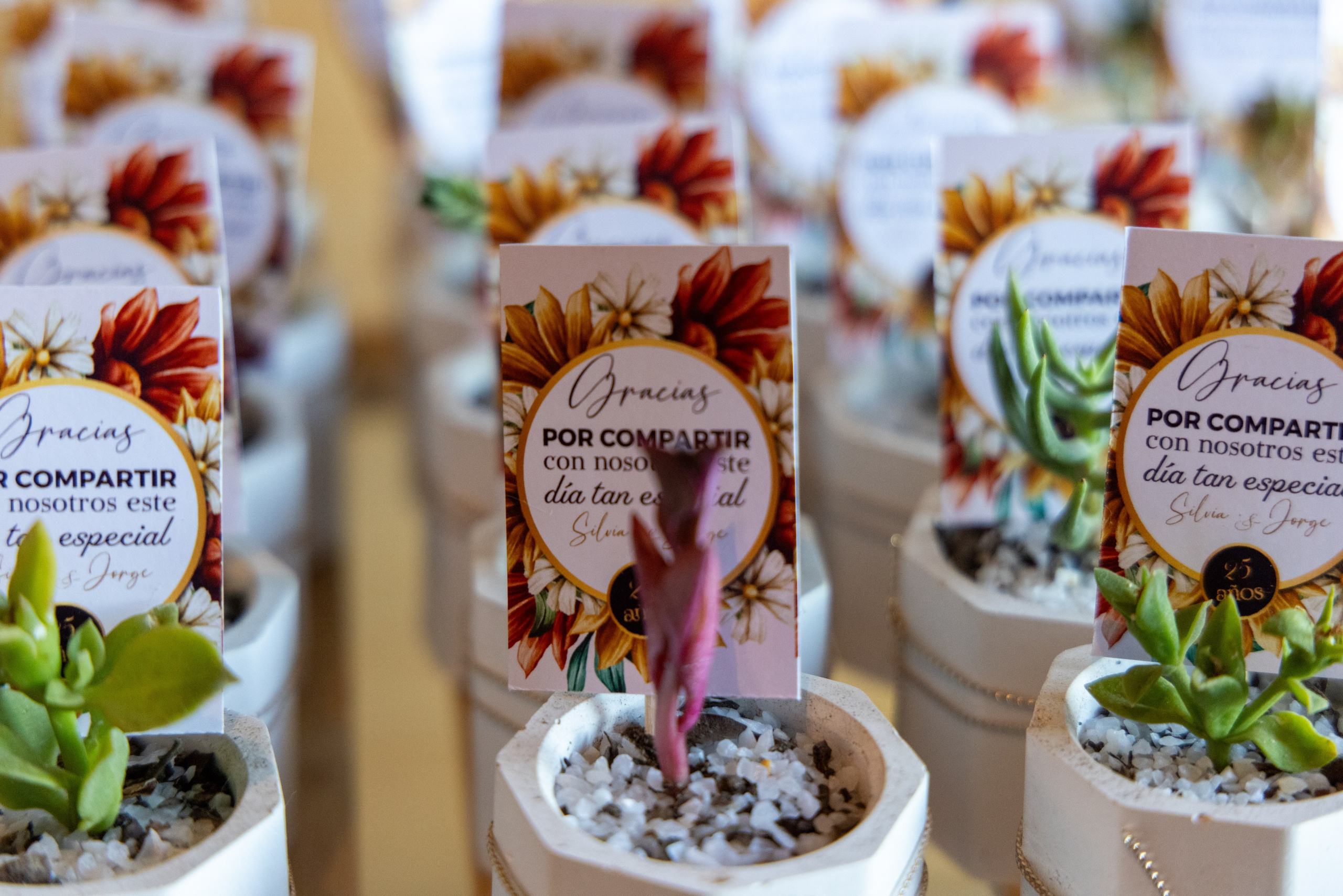 Silvia y Jorge. Dinka & Emilio - El arte de preservar lo que no se repite