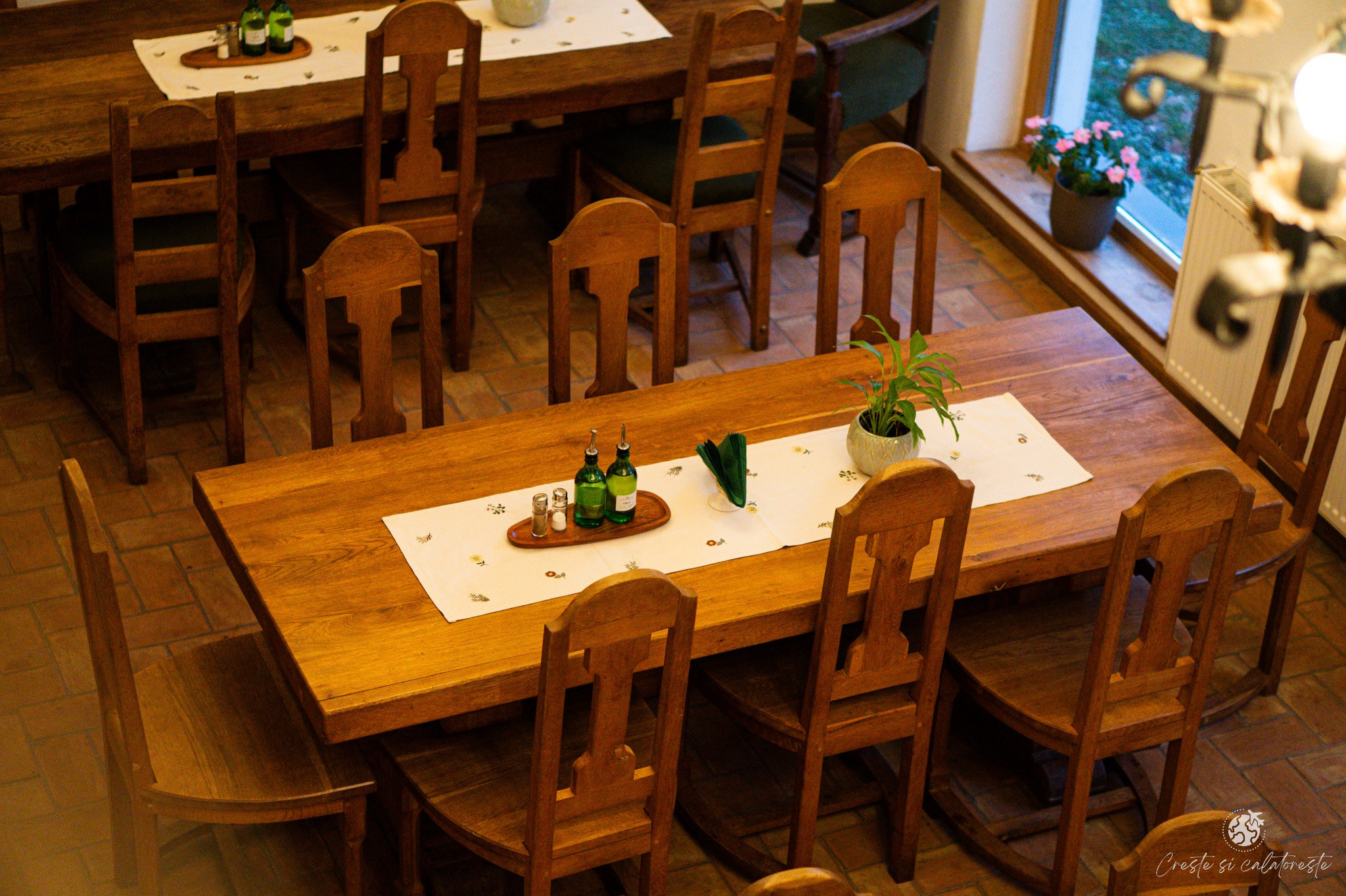 Oltenic Muse. Creste si calatoreste