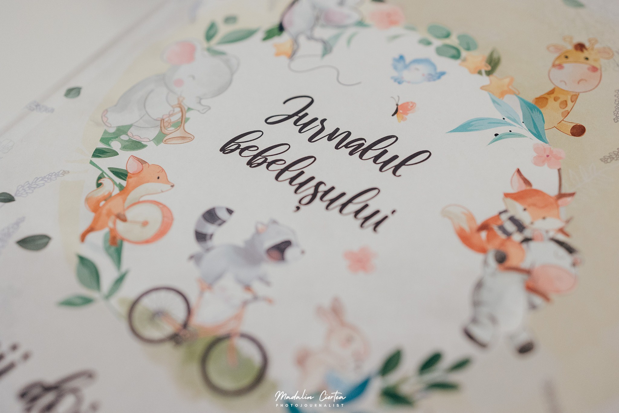 Fotografie botez Sebeș. Mădălin Ciortea - fotograf de nuntă și de familie | Dream Art Events