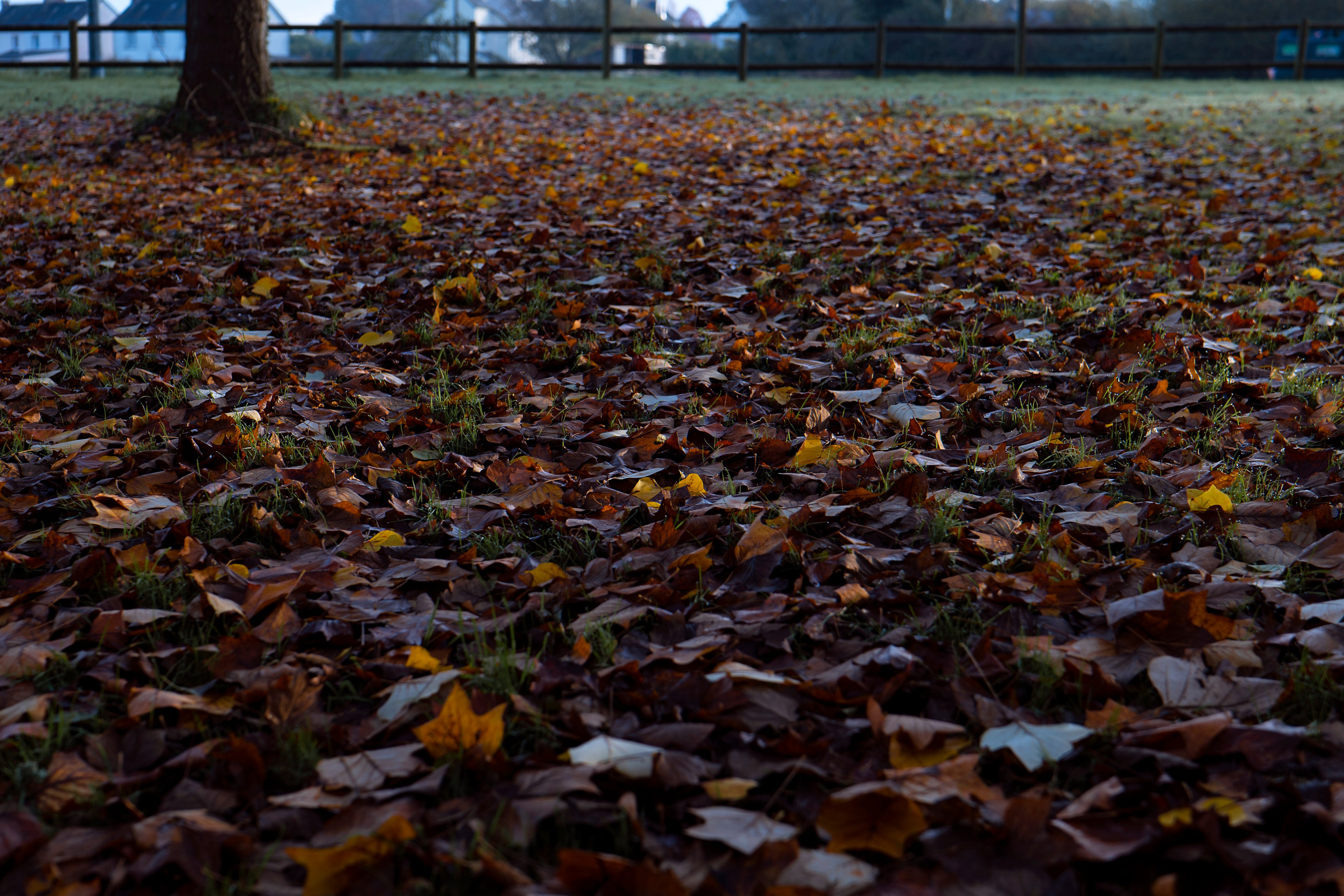Paysages. Portrais créatifs de familles et individuels, Ile et Vilaine, France