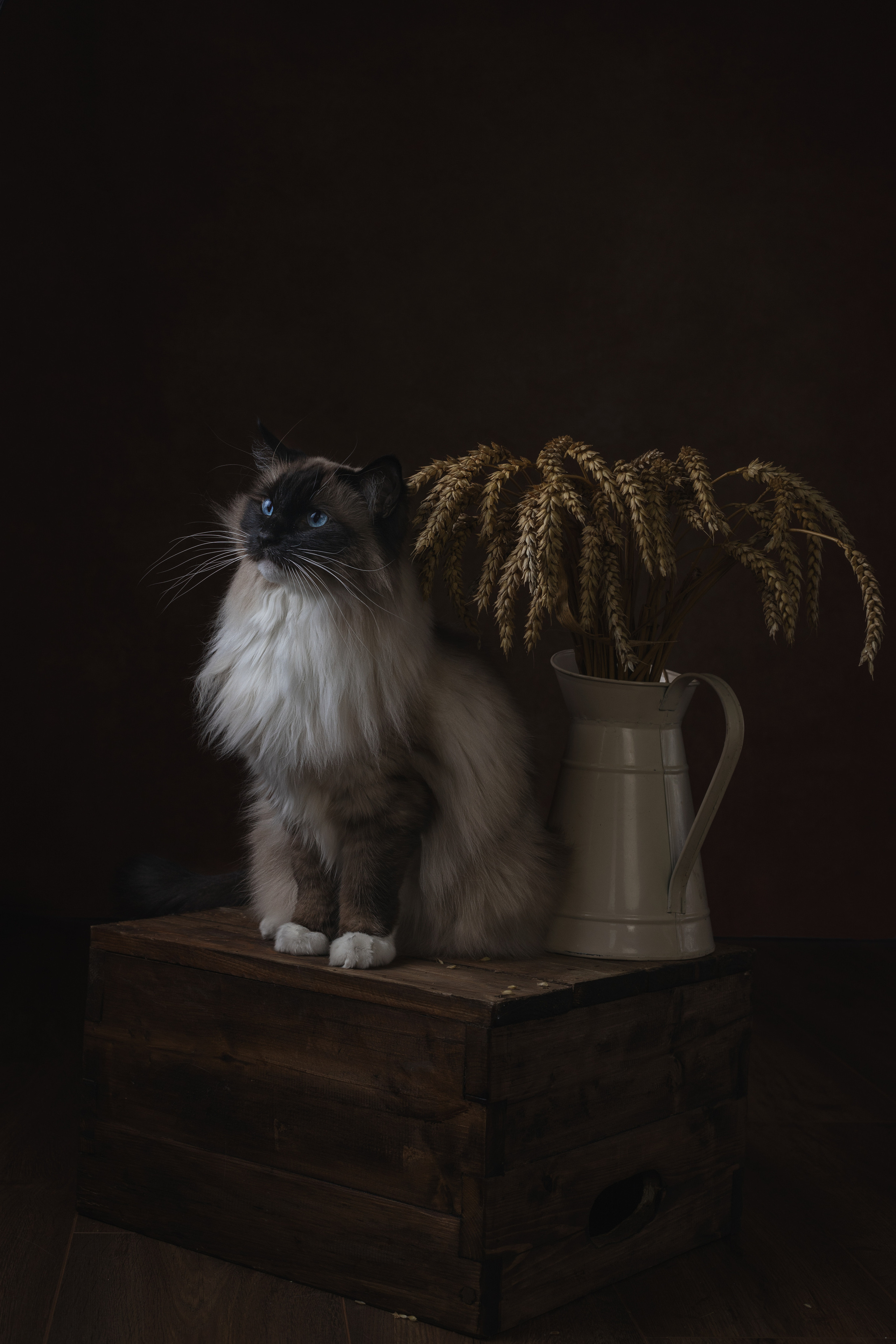 Fine Art. Семейный и детский фотограф в Лондоне (Кент) Наталья Биндере