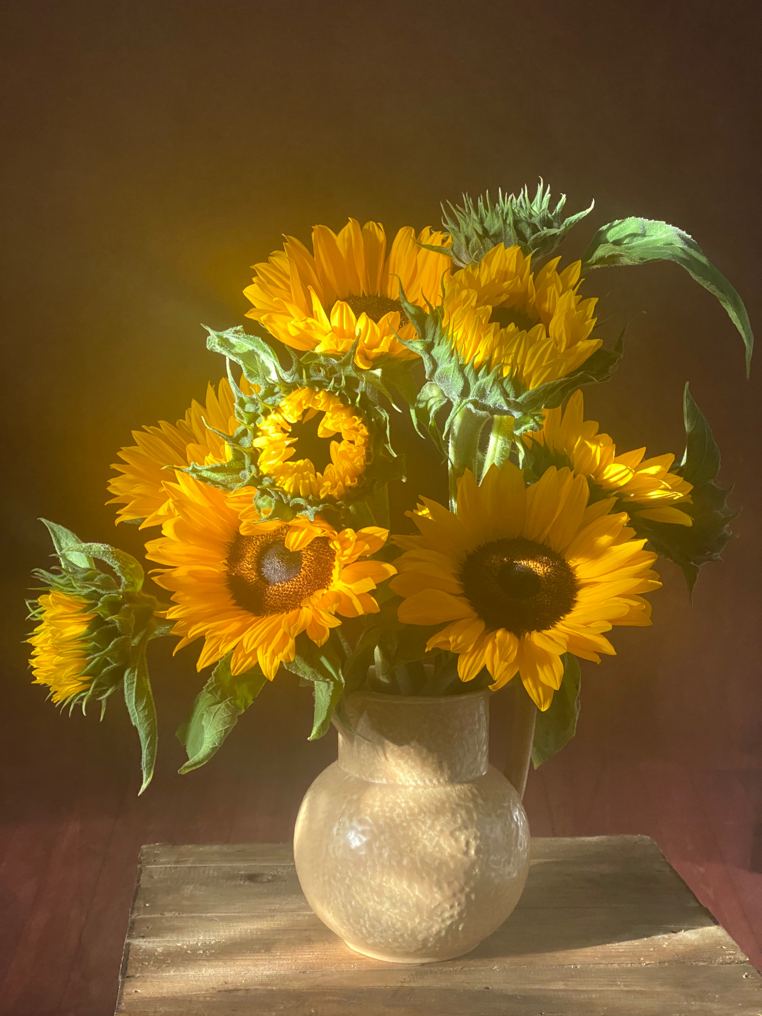 Семейный и детский фотограф в Лондоне (Кент) Наталья Биндере