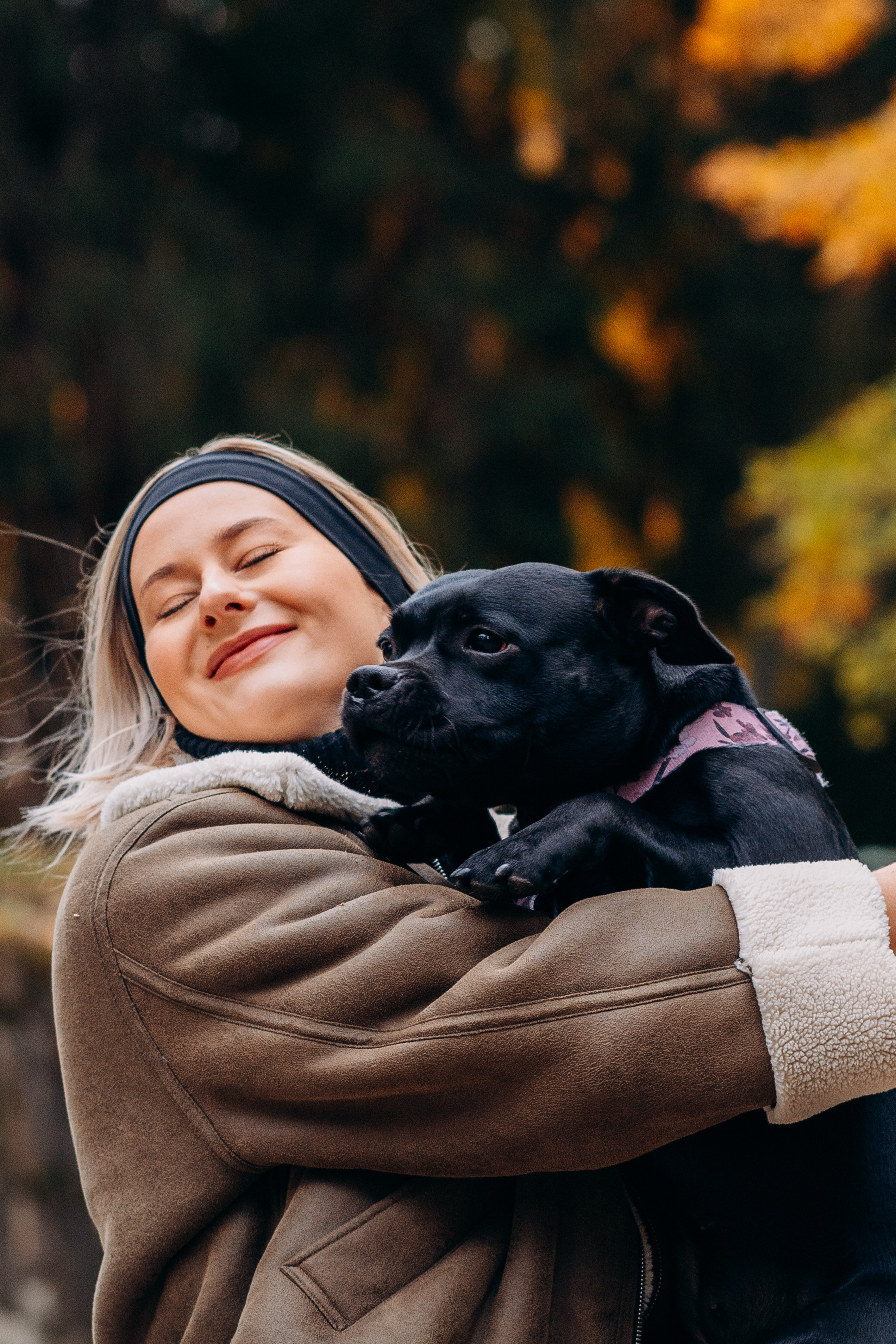 Staffordshire Bull Terriers Meetup. Kat Laisaar — Pet photographer in Tallinn