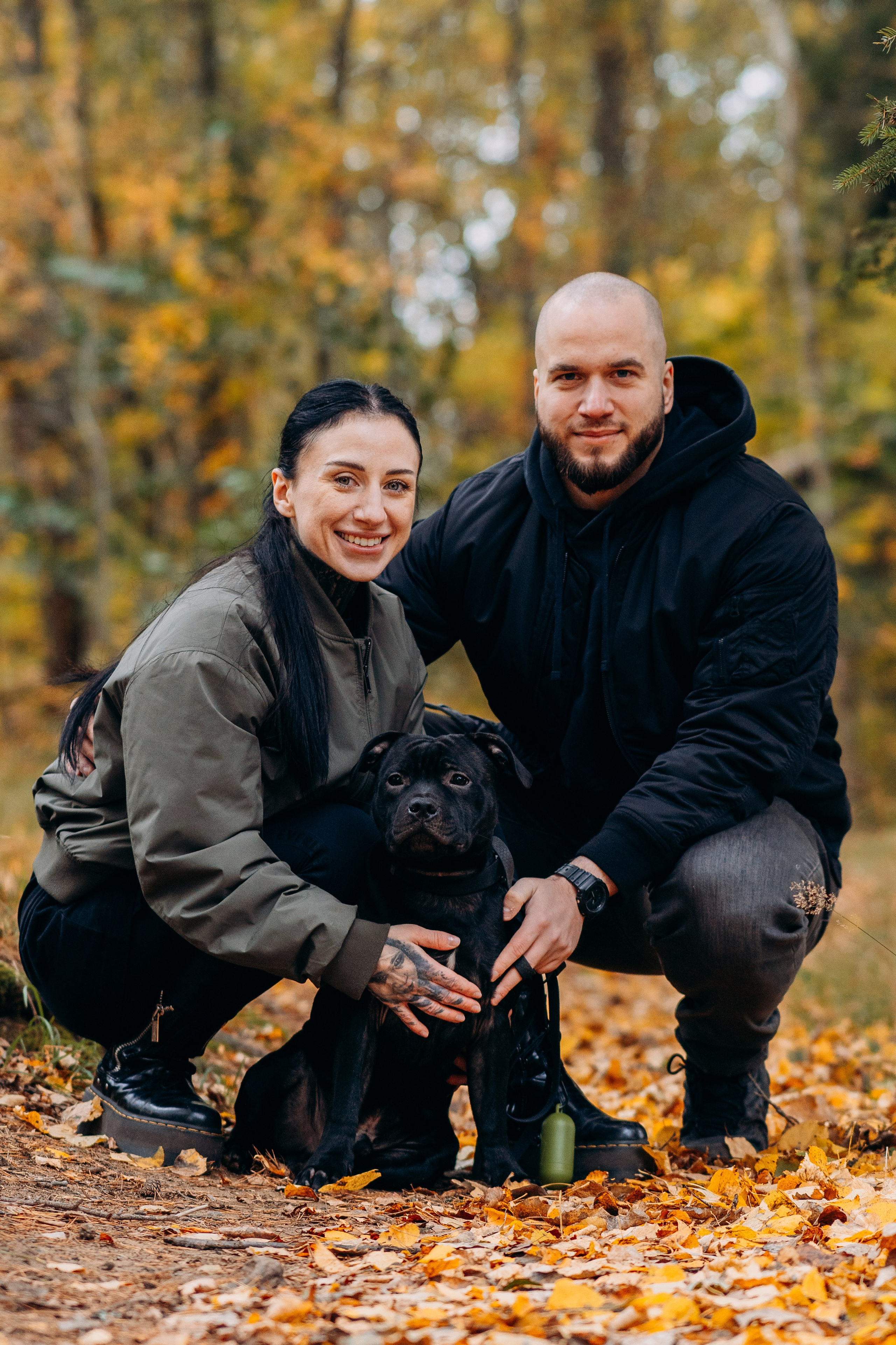 Staffordshire Bull Terriers Meetup. Kat Laisaar — Pet photographer in Tallinn