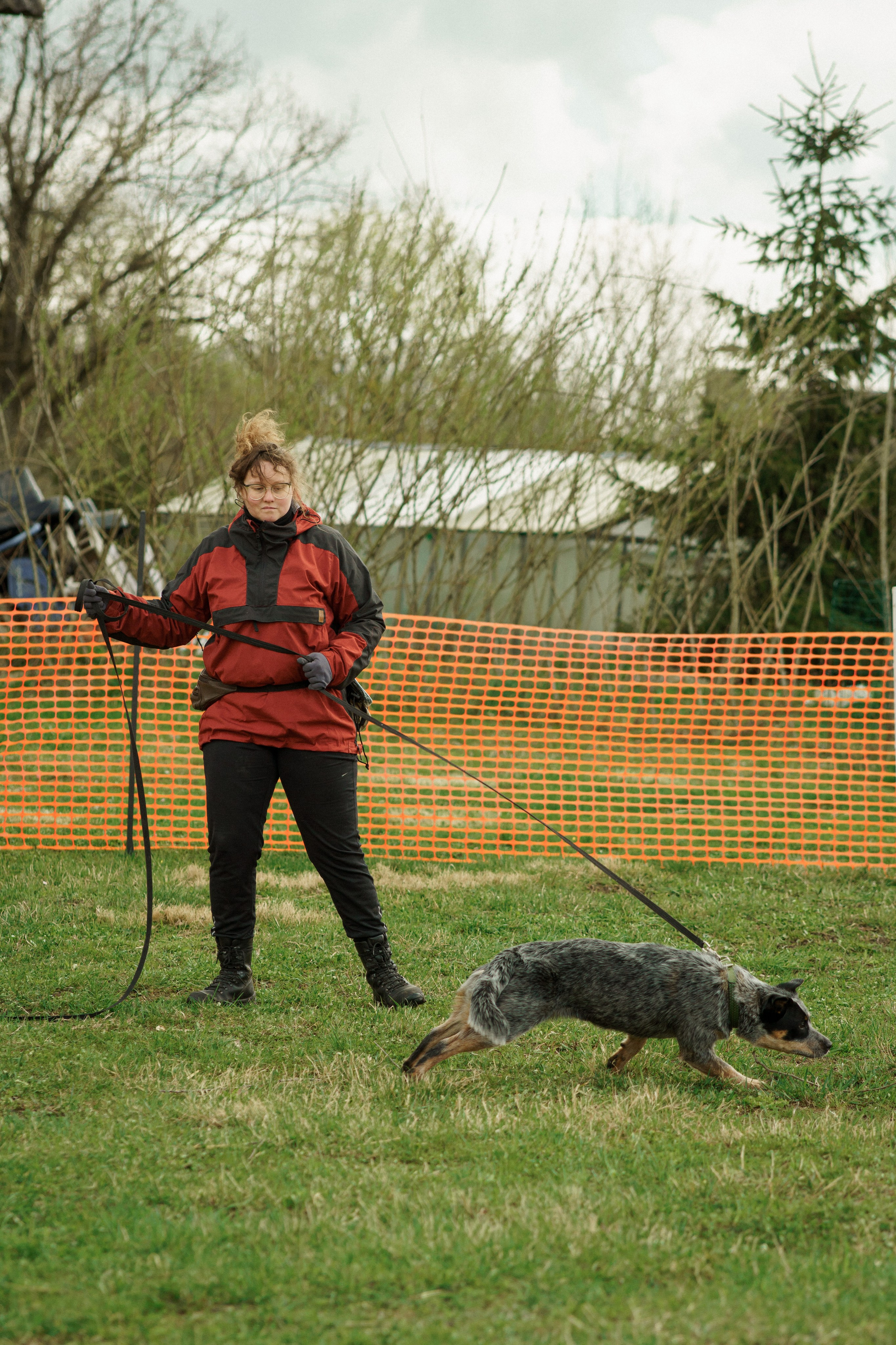 Herding Days, 26 apr. 2025. Kat Laisaar — Pet photographer in Tallinn