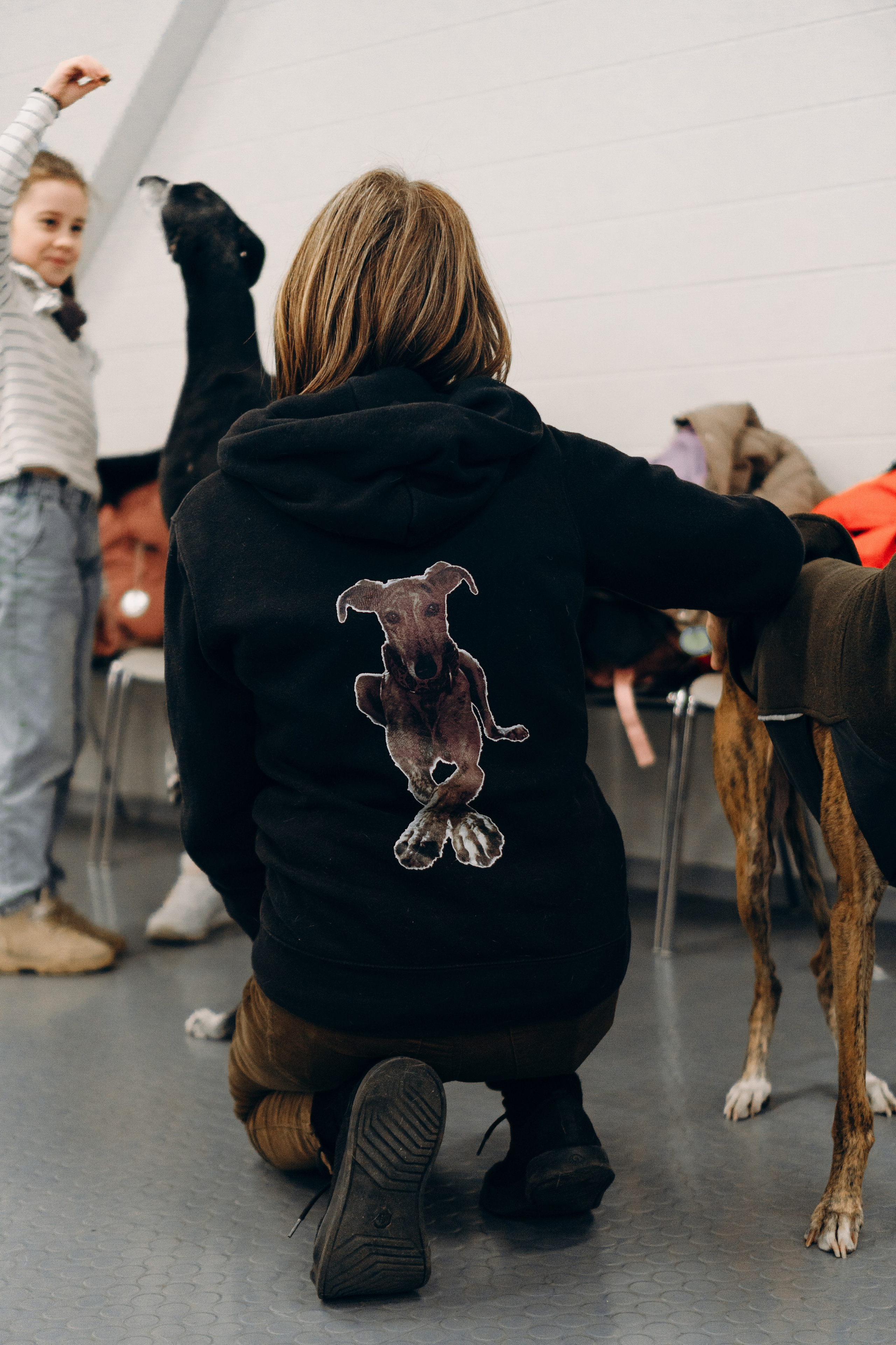 GalgoTreff / PetCity Rannamõisa, 13 apr. 2025. Kat Laisaar — Pet photographer in Tallinn