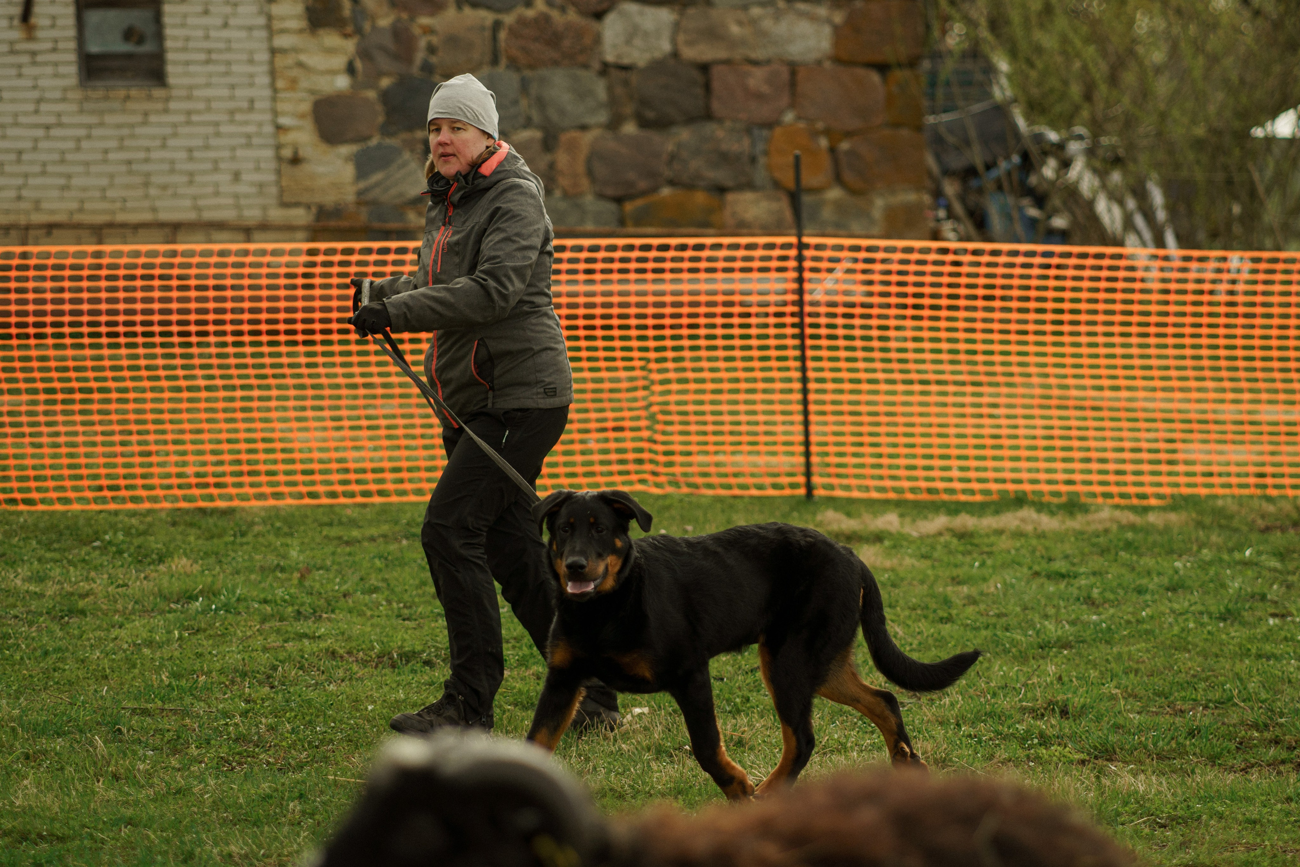 Herding Days, 26 apr. 2025. Kat Laisaar — Pet photographer in Tallinn