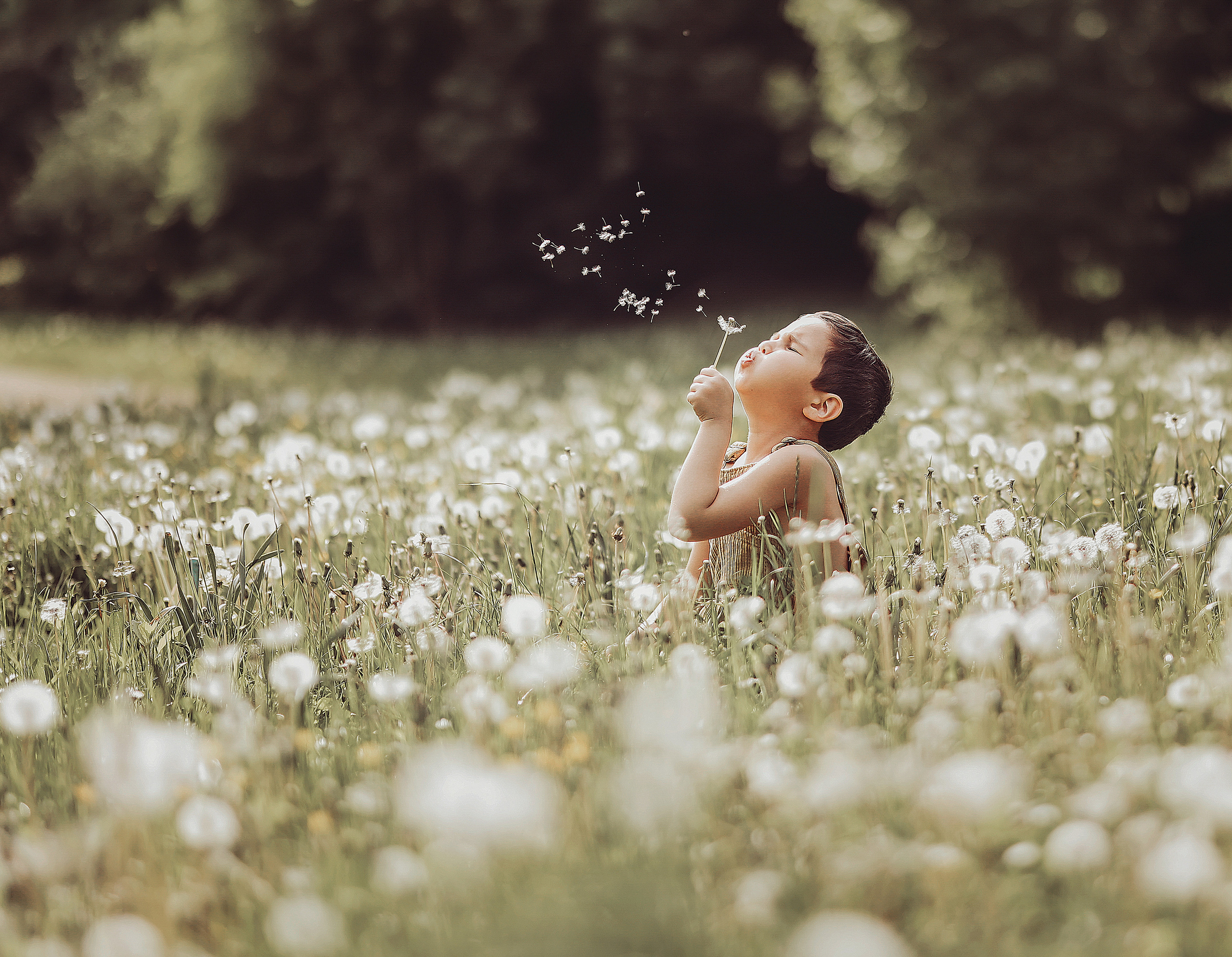 Professionelle Fotografie – Emotionale Portraits, Hochzeiten & Familienfotos | Albina Vaniyants. Professionelle Familienfotografie, Kinderfotografie und Portraitfotografie in Linz, Oberösterreich - Albina Vaniyants, Fotografin aus OÖ