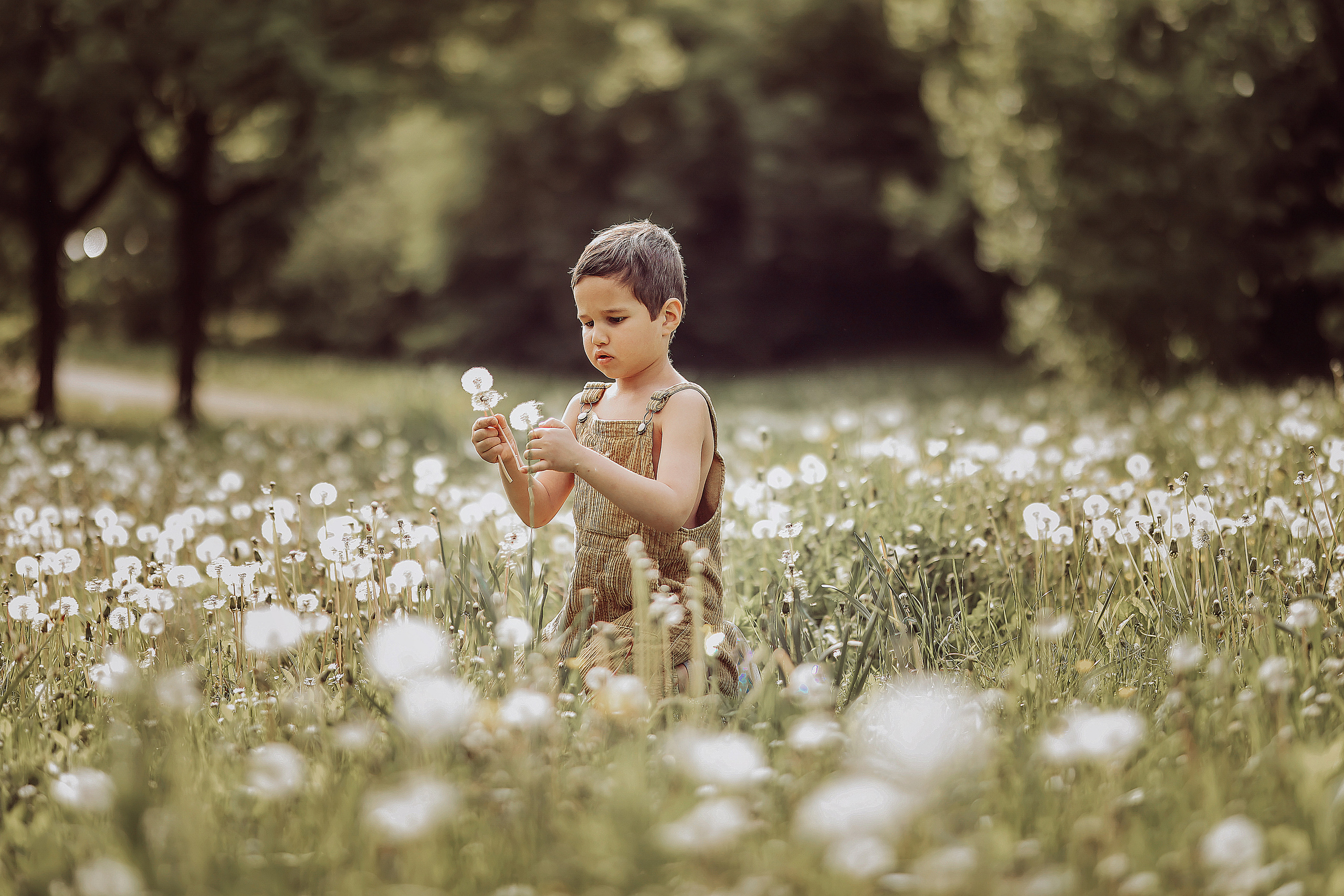 Professionelle Fotografie – Emotionale Portraits, Hochzeiten & Familienfotos | Albina Vaniyants. Professionelle Familienfotografie, Kinderfotografie und Portraitfotografie in Linz, Oberösterreich - Albina Vaniyants, Fotografin aus OÖ