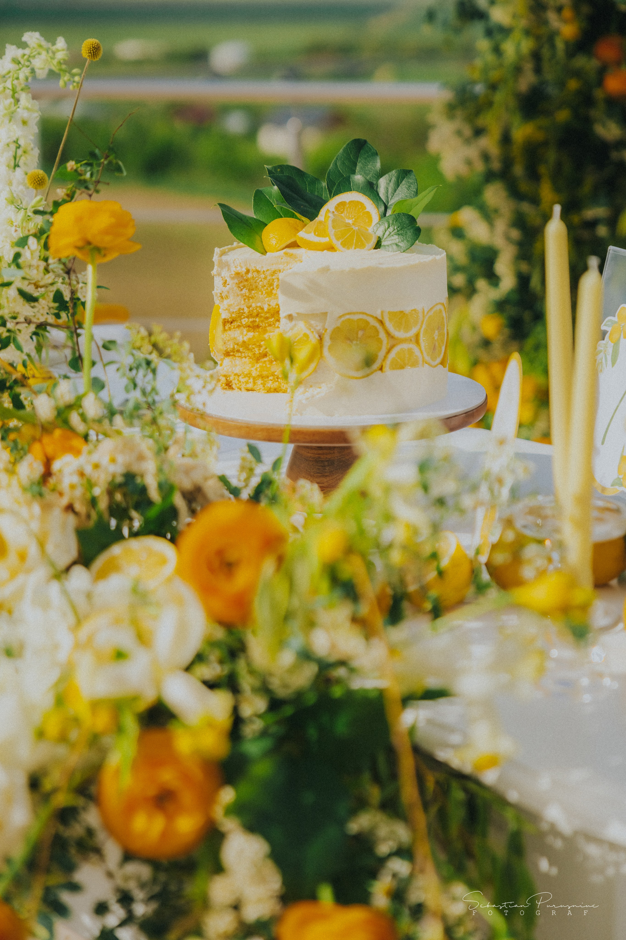 Love & Lemons. Sebastian Purusniuc Fotograf - Iasi