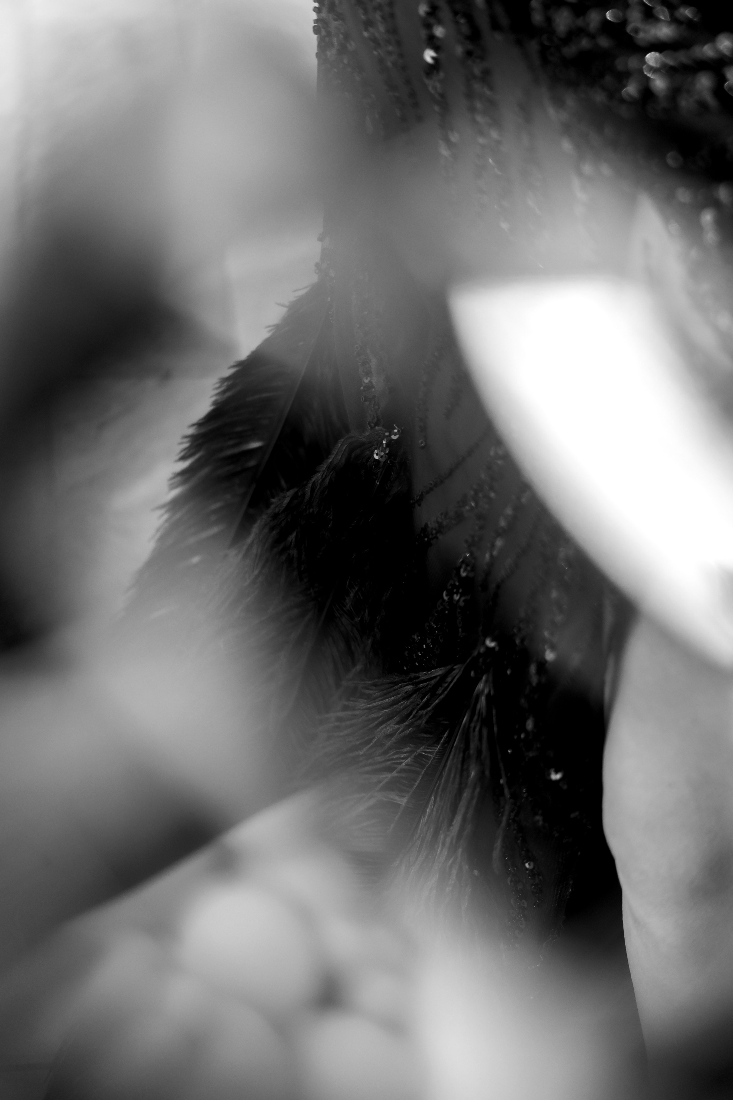 Абитуриентски Бал 2023. Фотограф Ирина Йотова