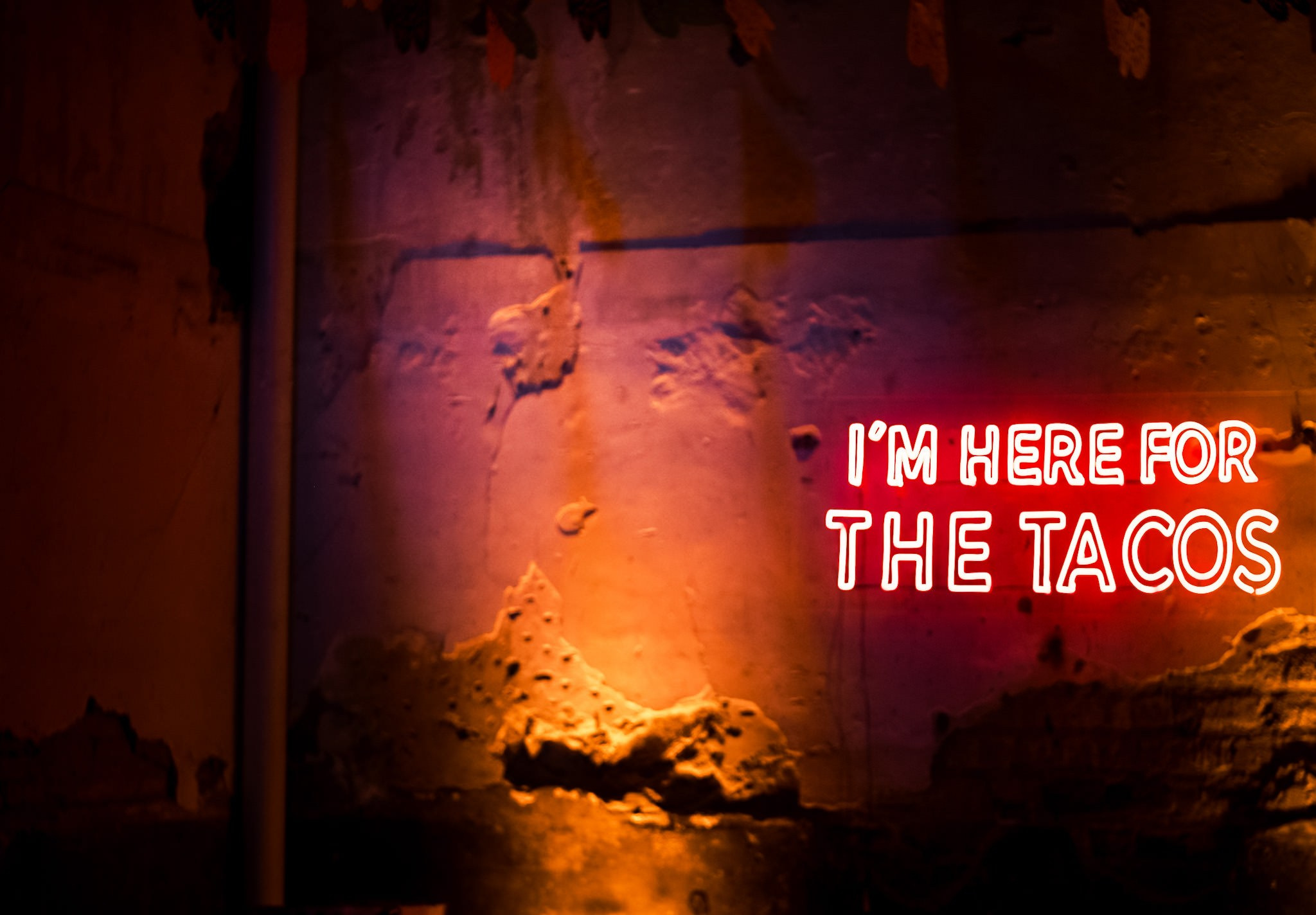 Aagya & Kishore. Wedding and family photographer in Mexico City