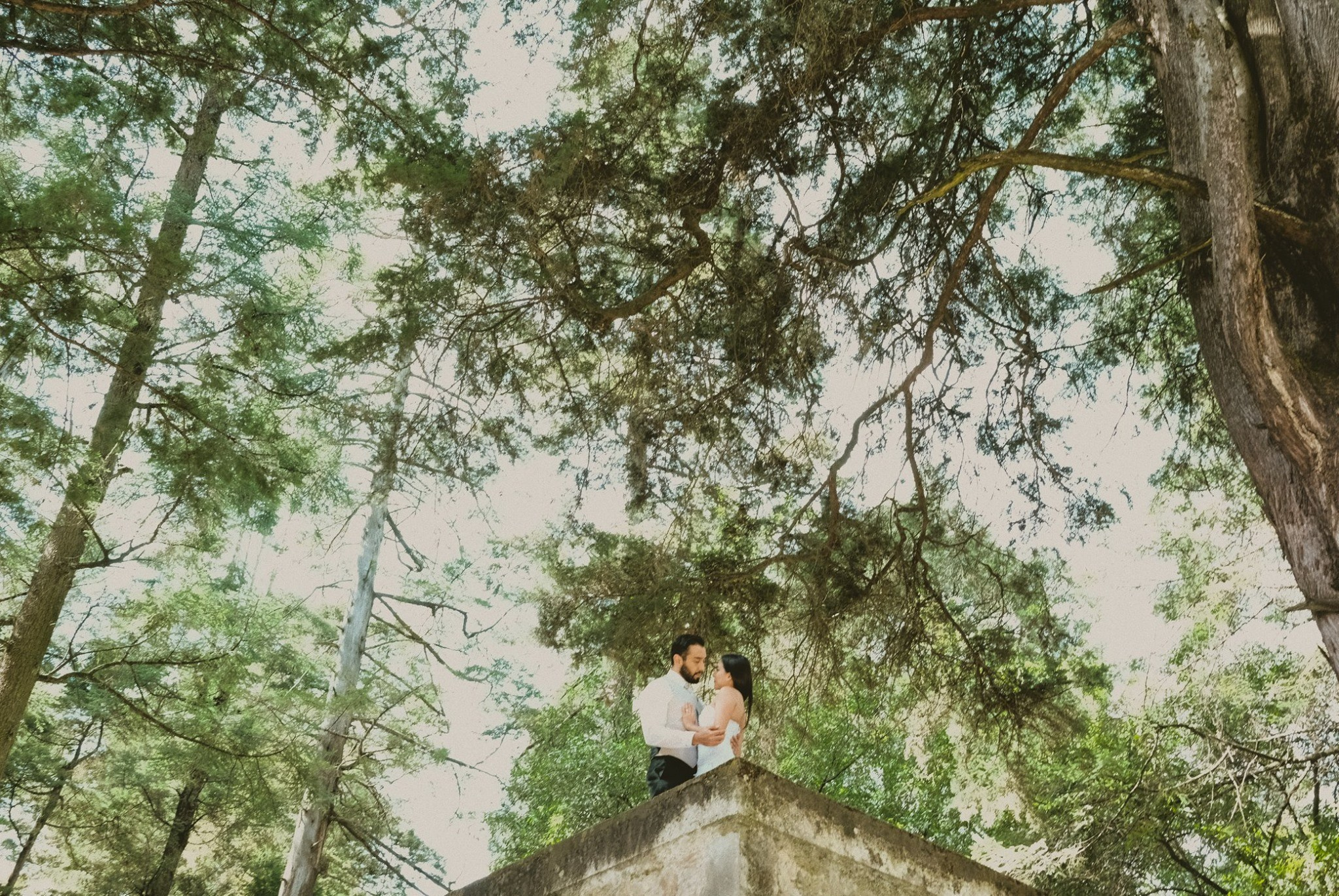 Arely & Peter. Wedding and family photographer in Mexico City