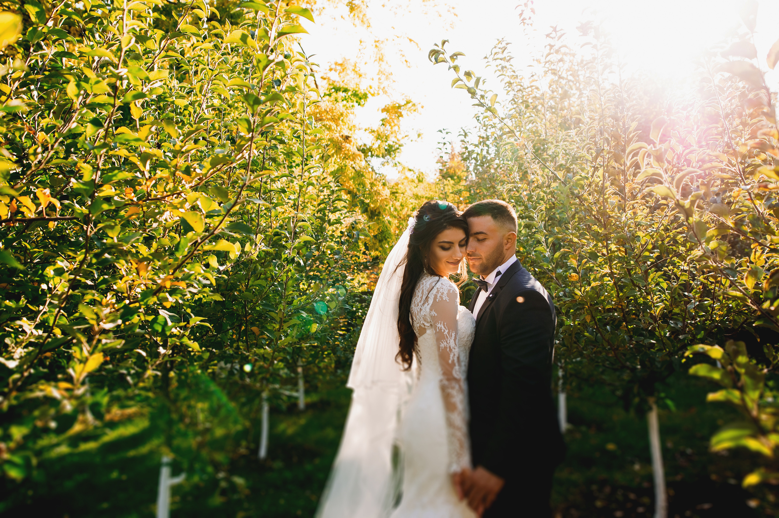 Diana & Andrei. Fotograf de familie și evenimente