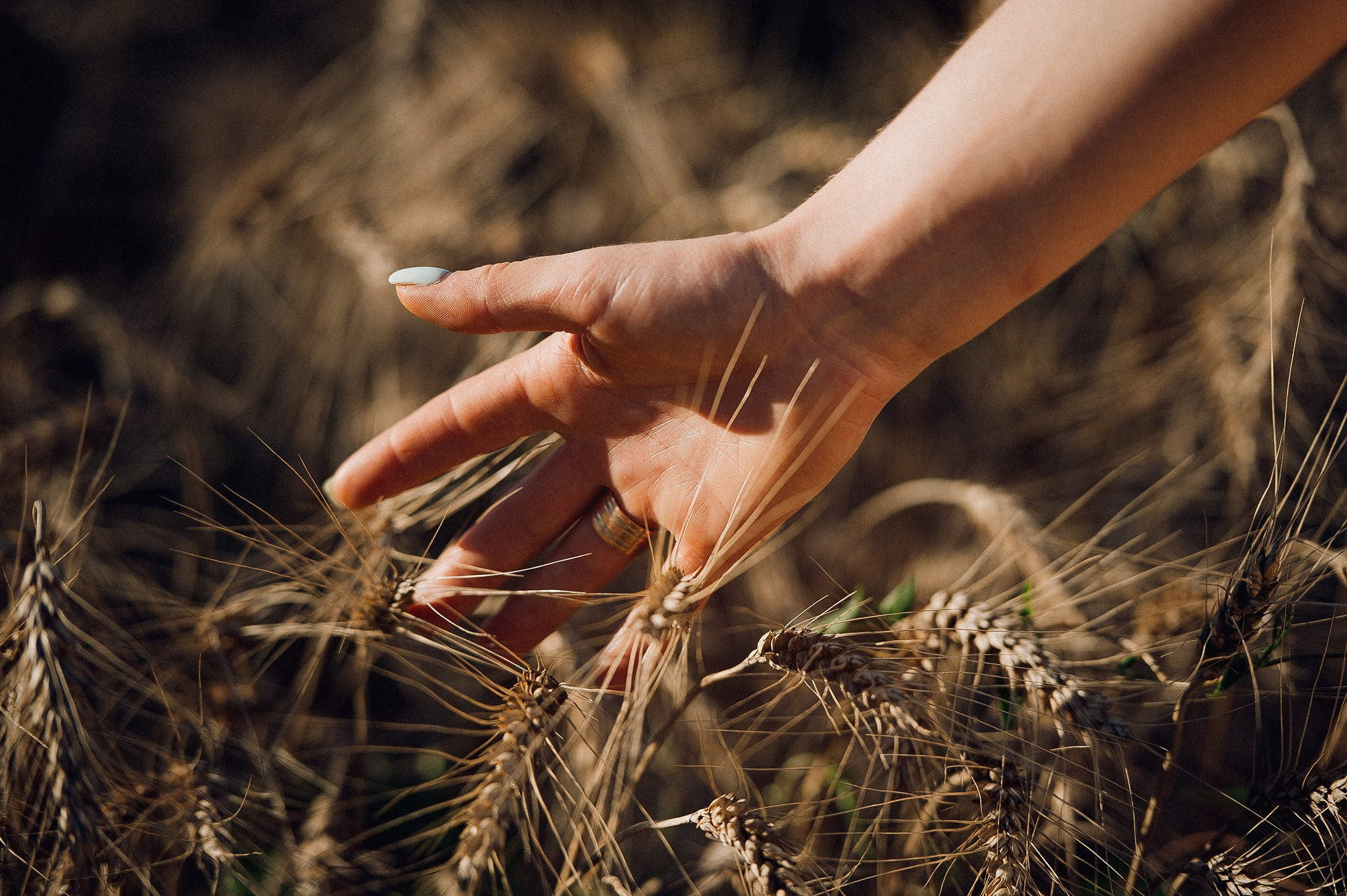 Silvia & Viorel. Fotograf de familie și evenimente