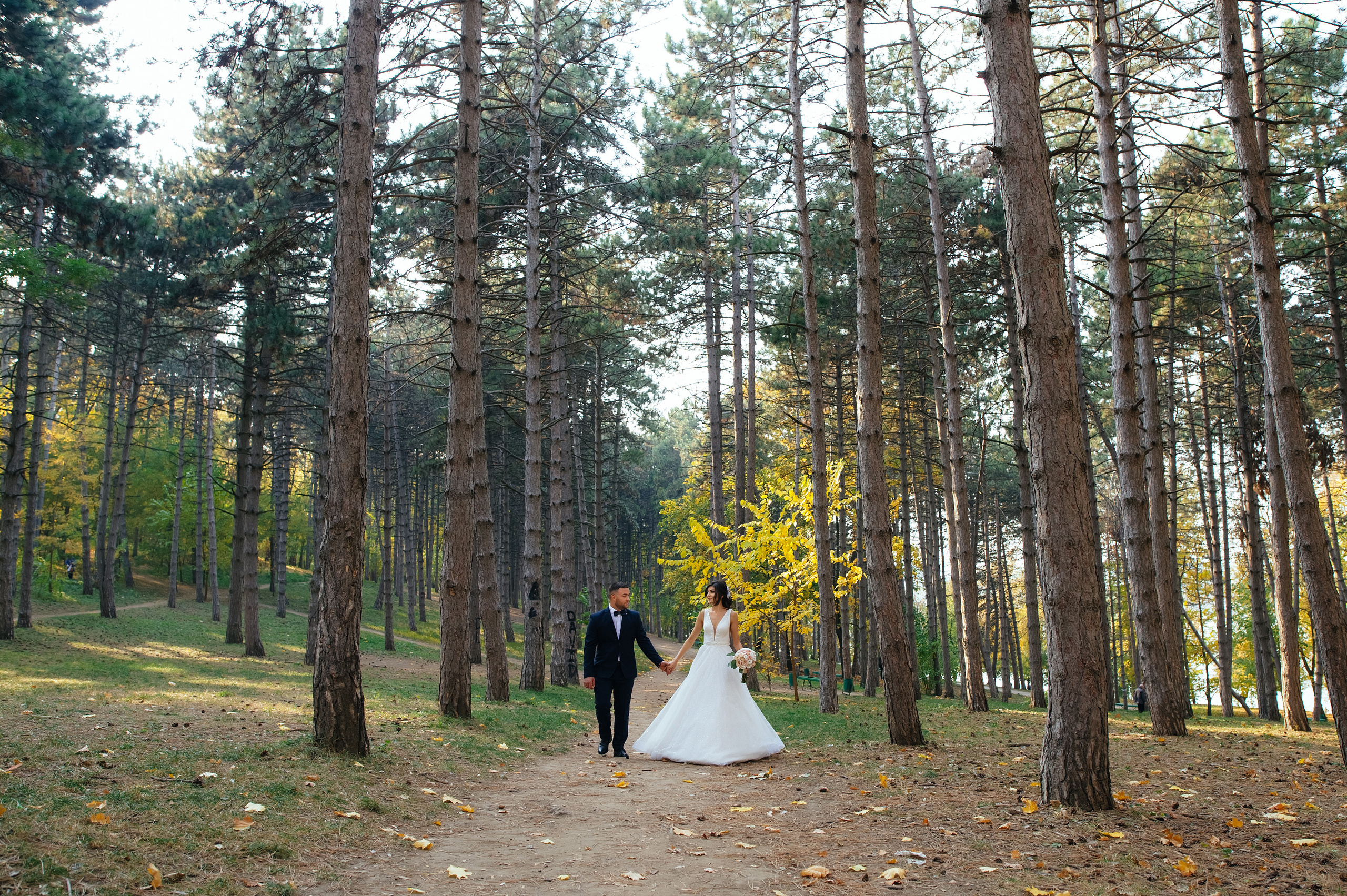 Diana & Andrei. Fotograf de familie și evenimente