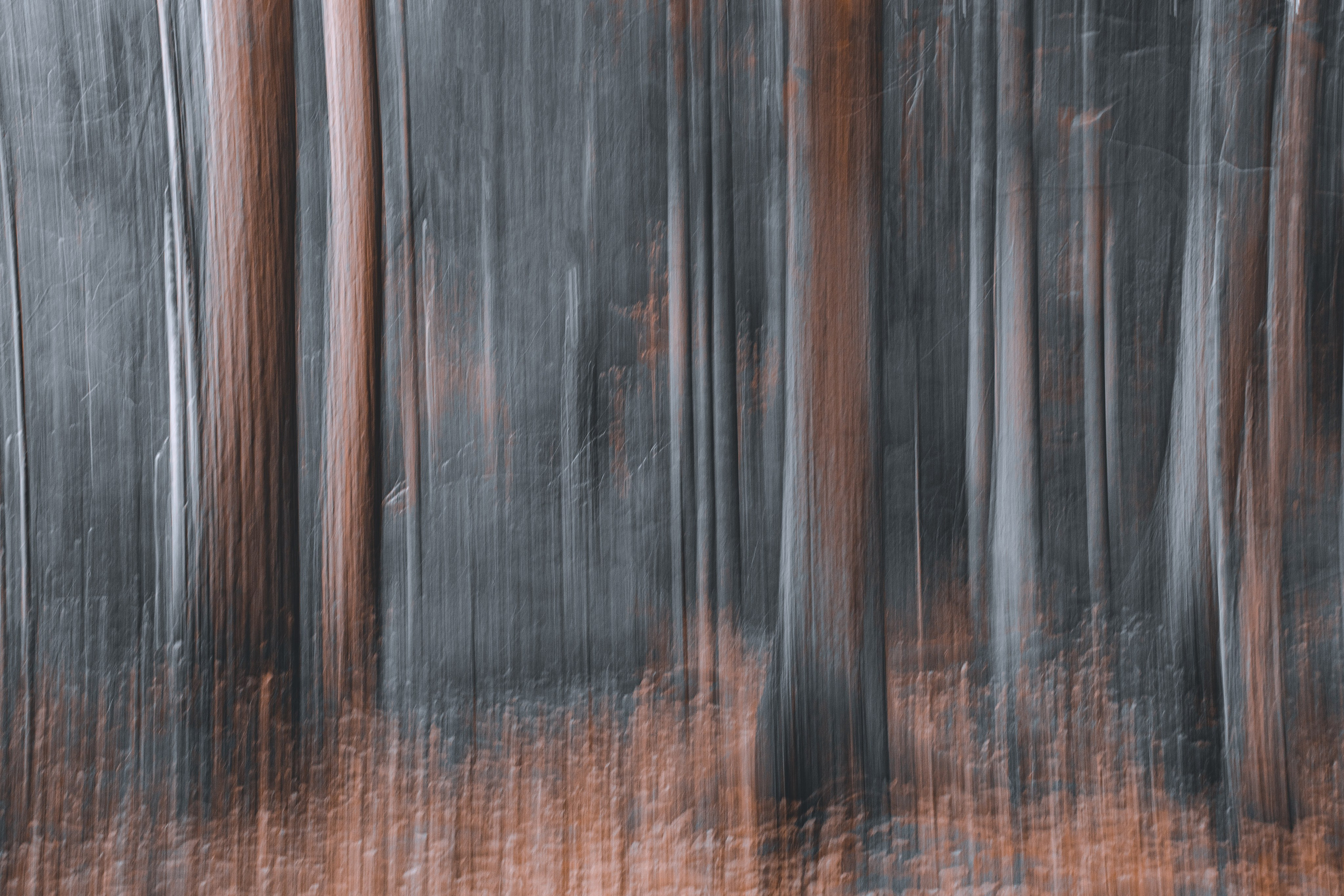 Portfolio. Photographer in Sotenäs municipality. Fotograf i Sotenäs kommun