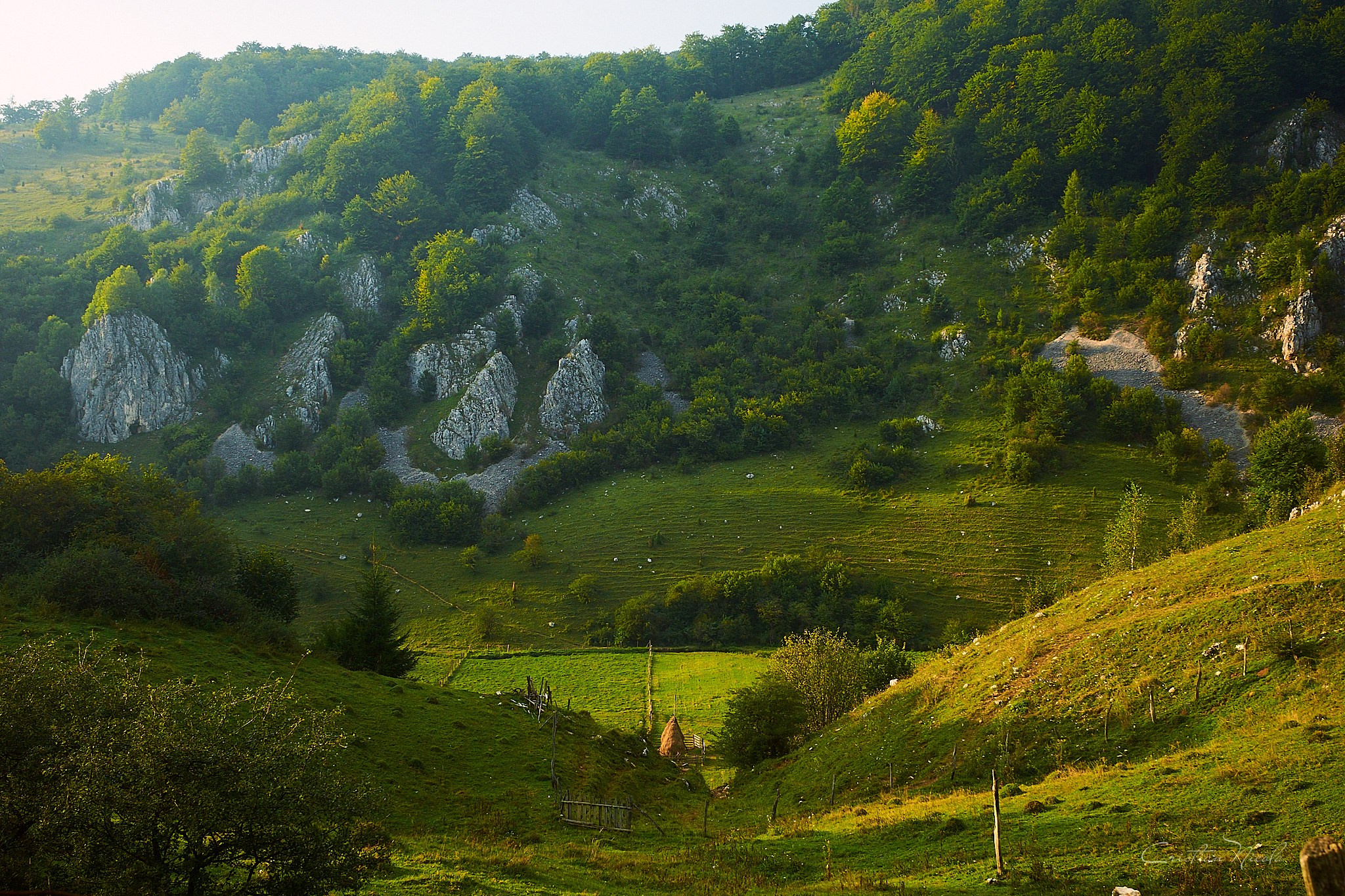Fundătura Ponorului, jud. Humedoara. Pagina principală