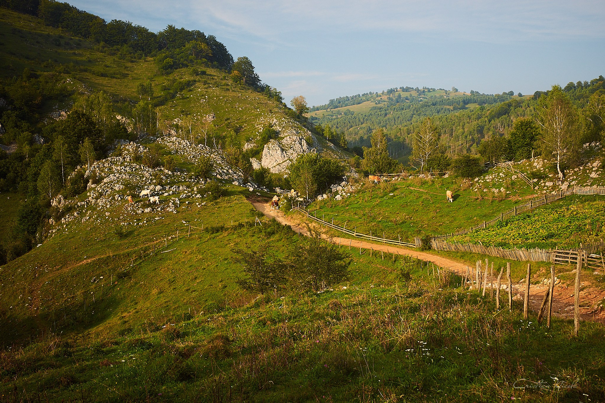 Fundătura Ponorului, jud. Humedoara. Pagina principală