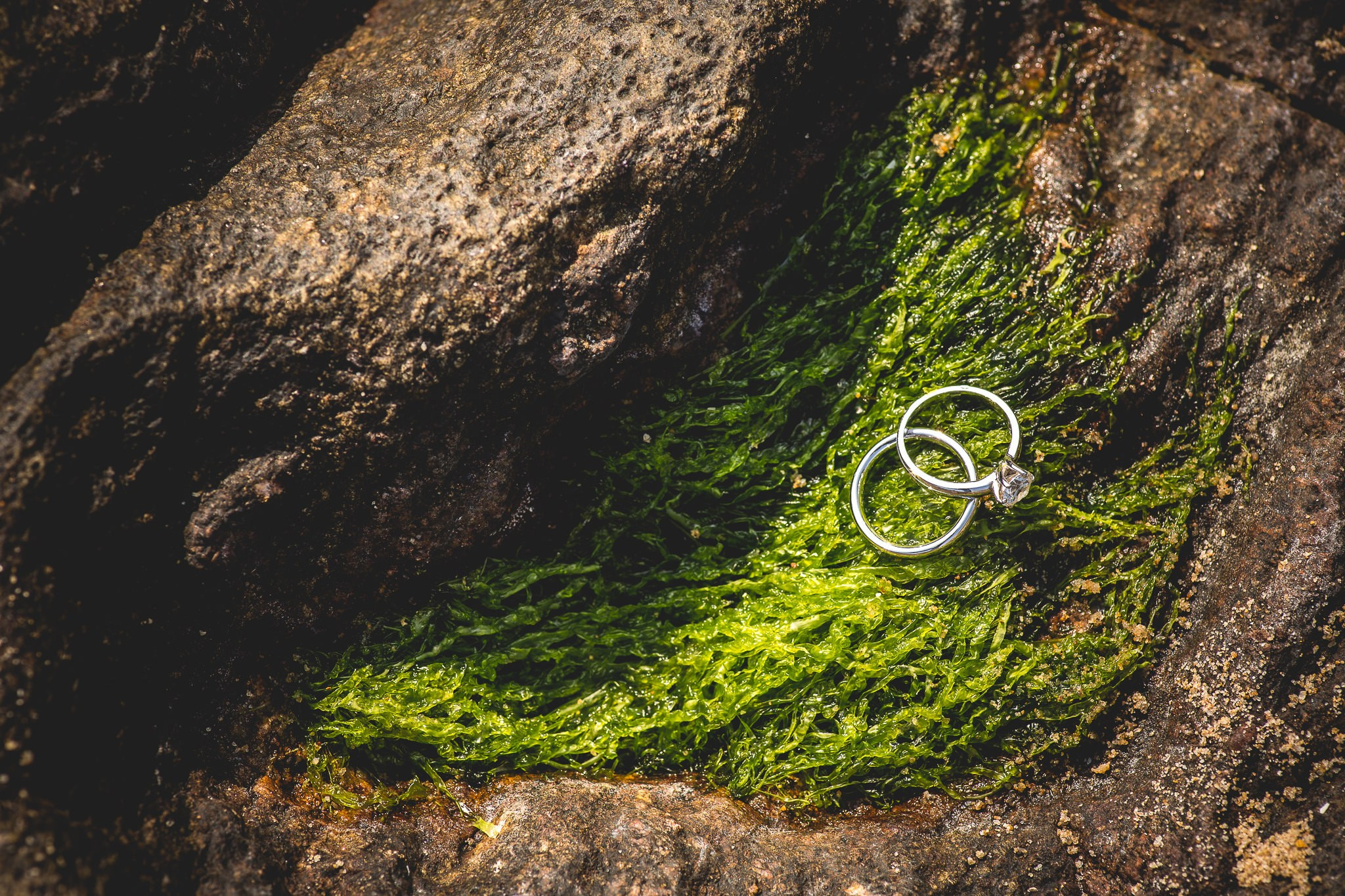ONEIRO Portfolio