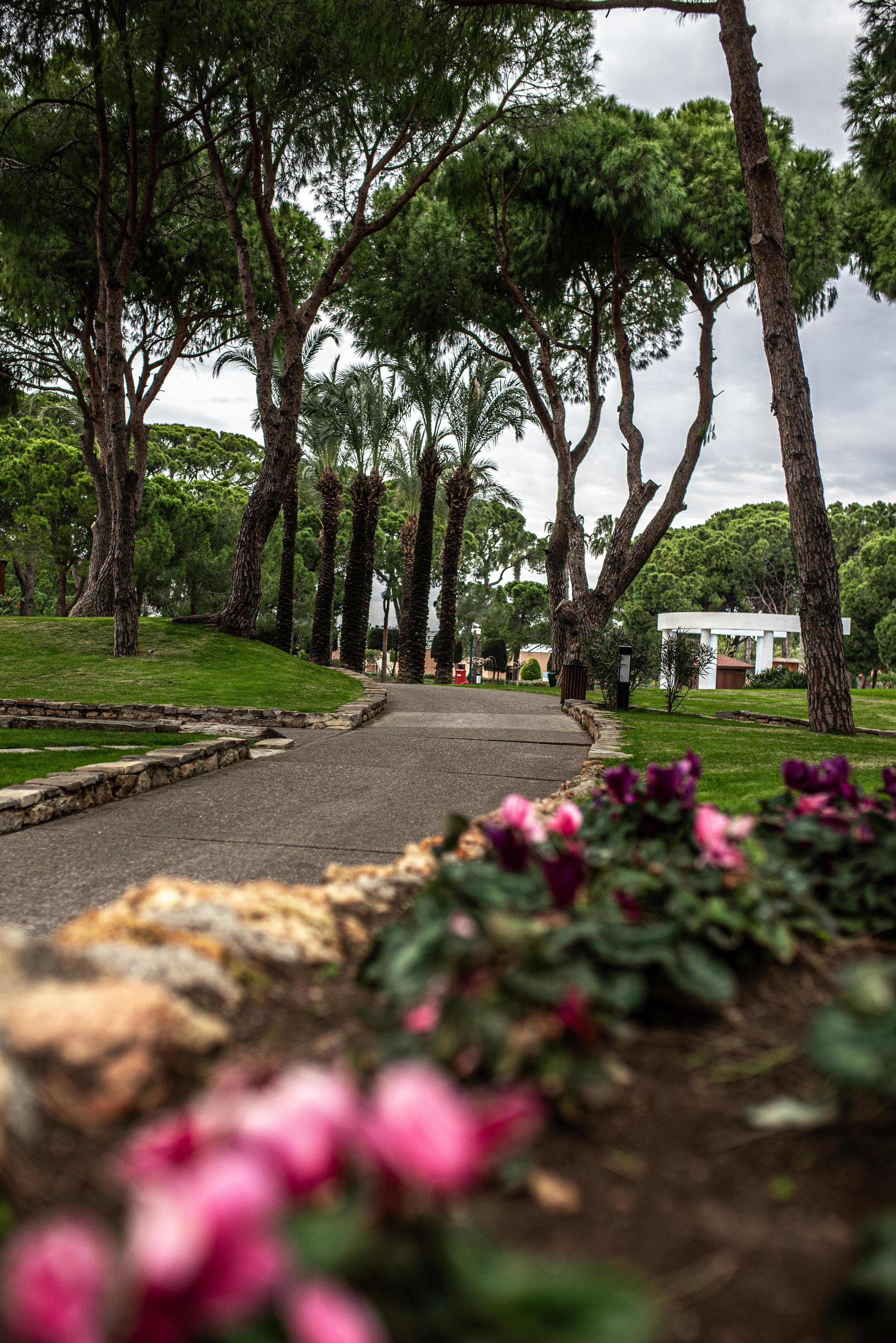 A forest road on the grounds of IC Hotels in Antalya, captured by a professional photographer.