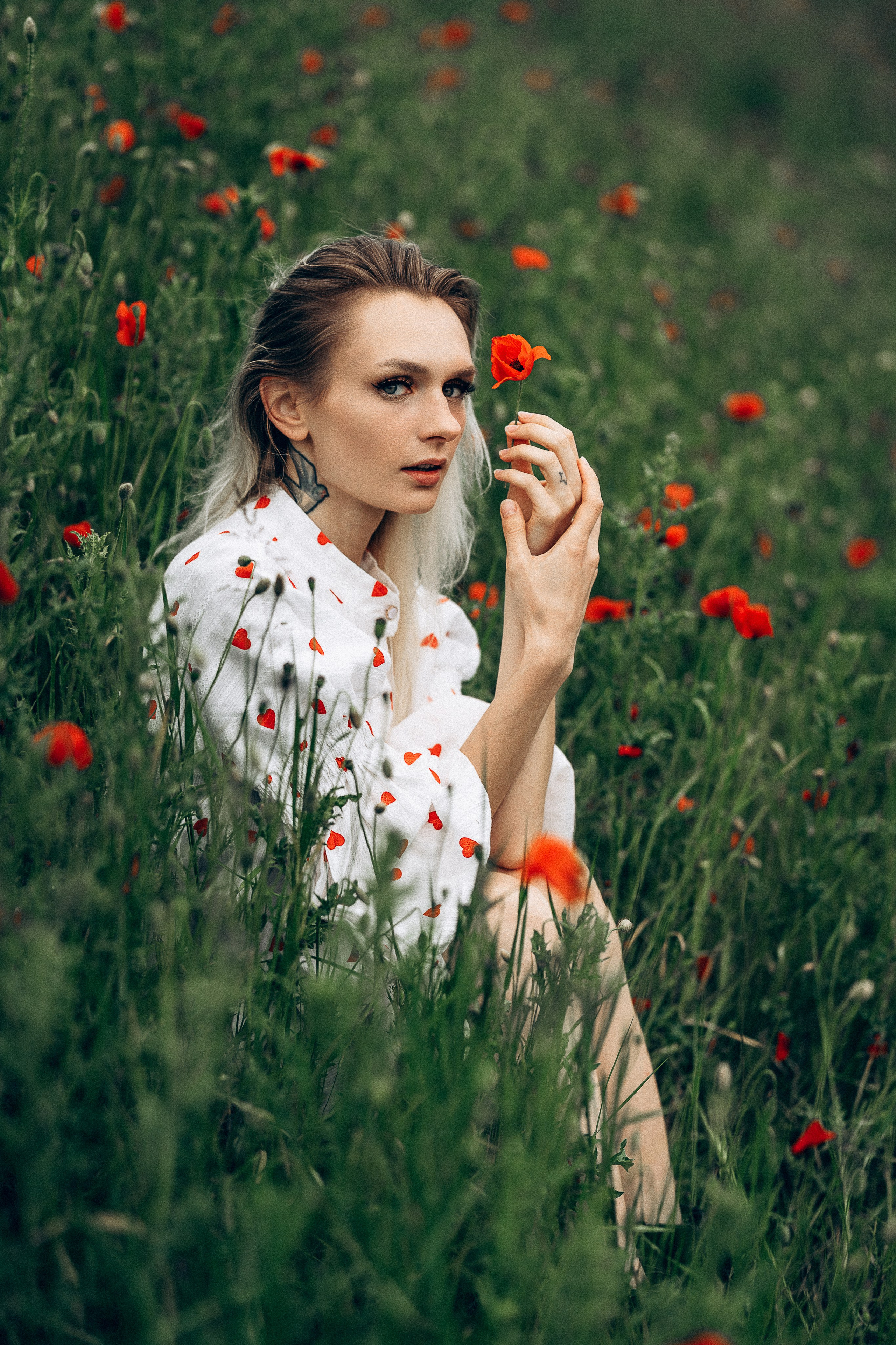 Mohnblumen. Pusteblumen. Familien, Lifestyle und Portrait Fotografin in Trier, Luxembourg