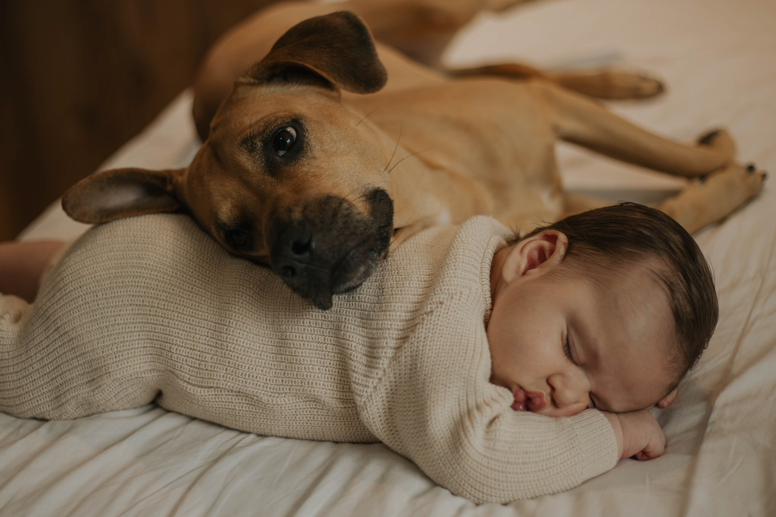 Conrado — 1 mês. Amanda Paraizo | Fotógrafa de Parto, Gestante e Família na Grande Vitória — ES