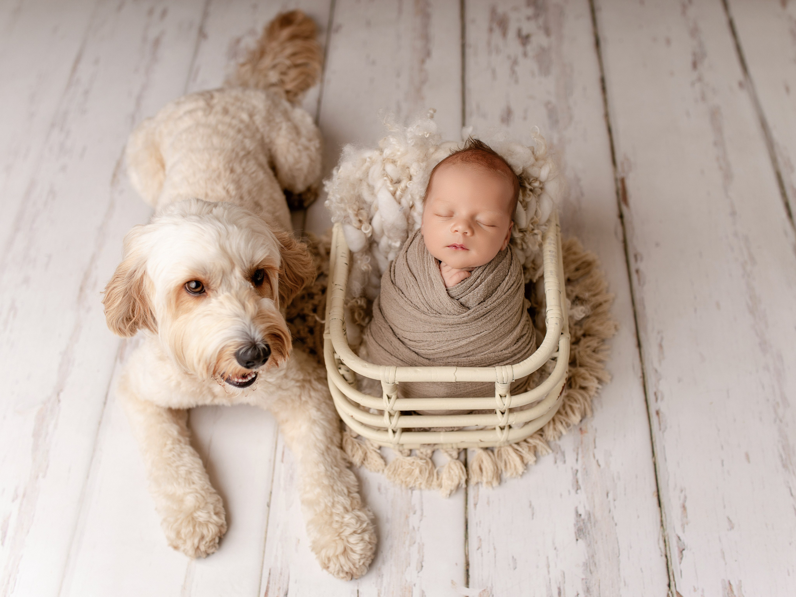Esu Aleksandra naujagimių ir kudikių fotografė iš Vilniaus