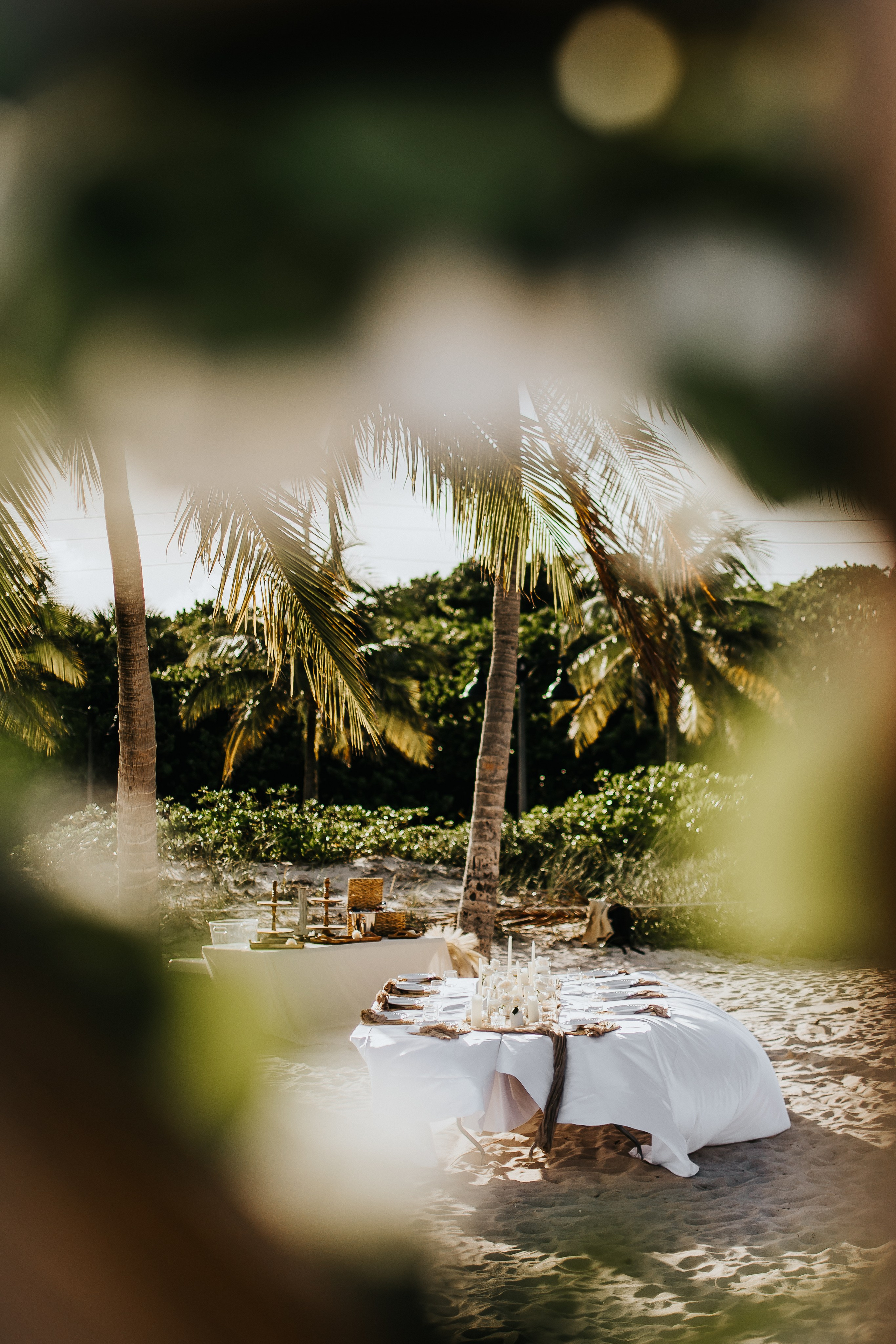 Heather & Jose wedding. Alya Leto Photographer