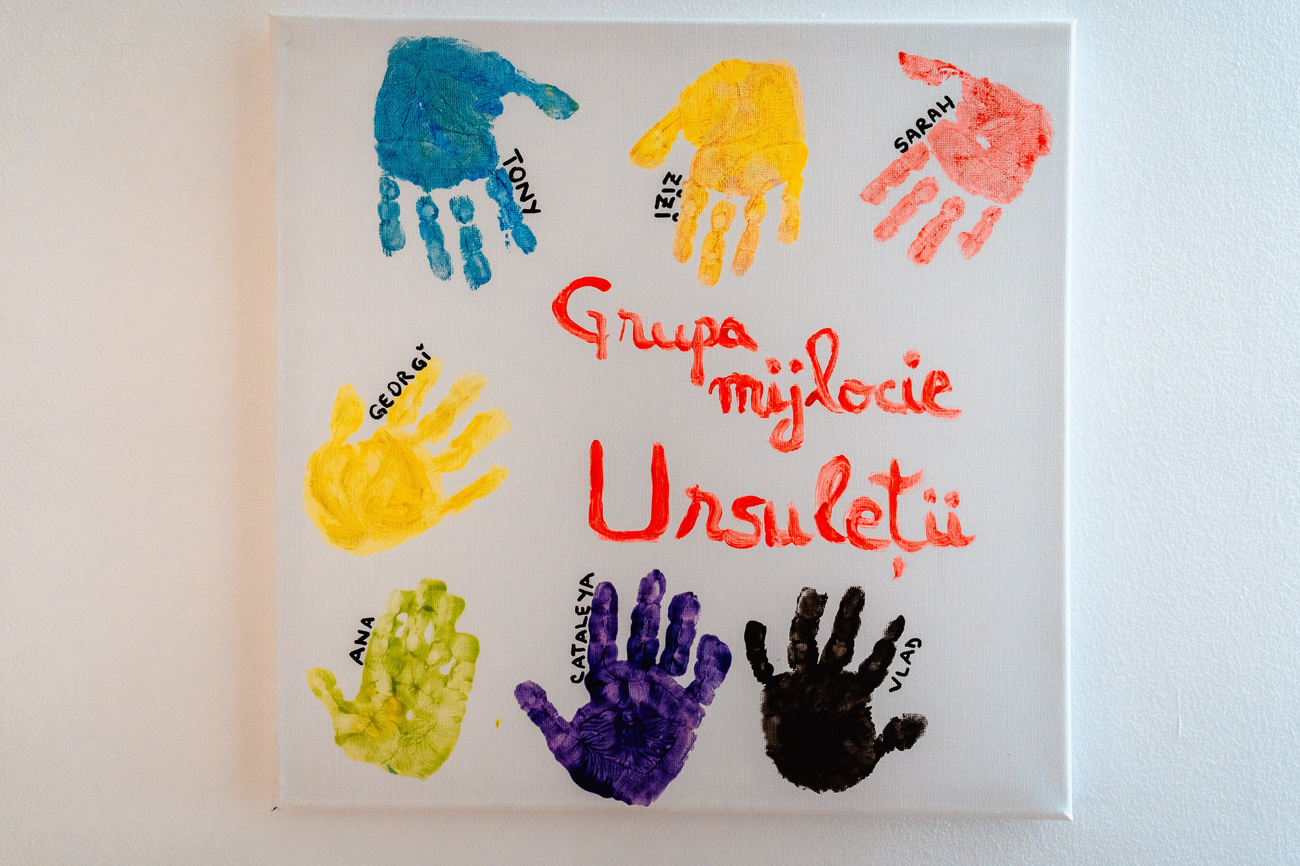 Miniterra Carusel. Liviu Andrei - Fotograf