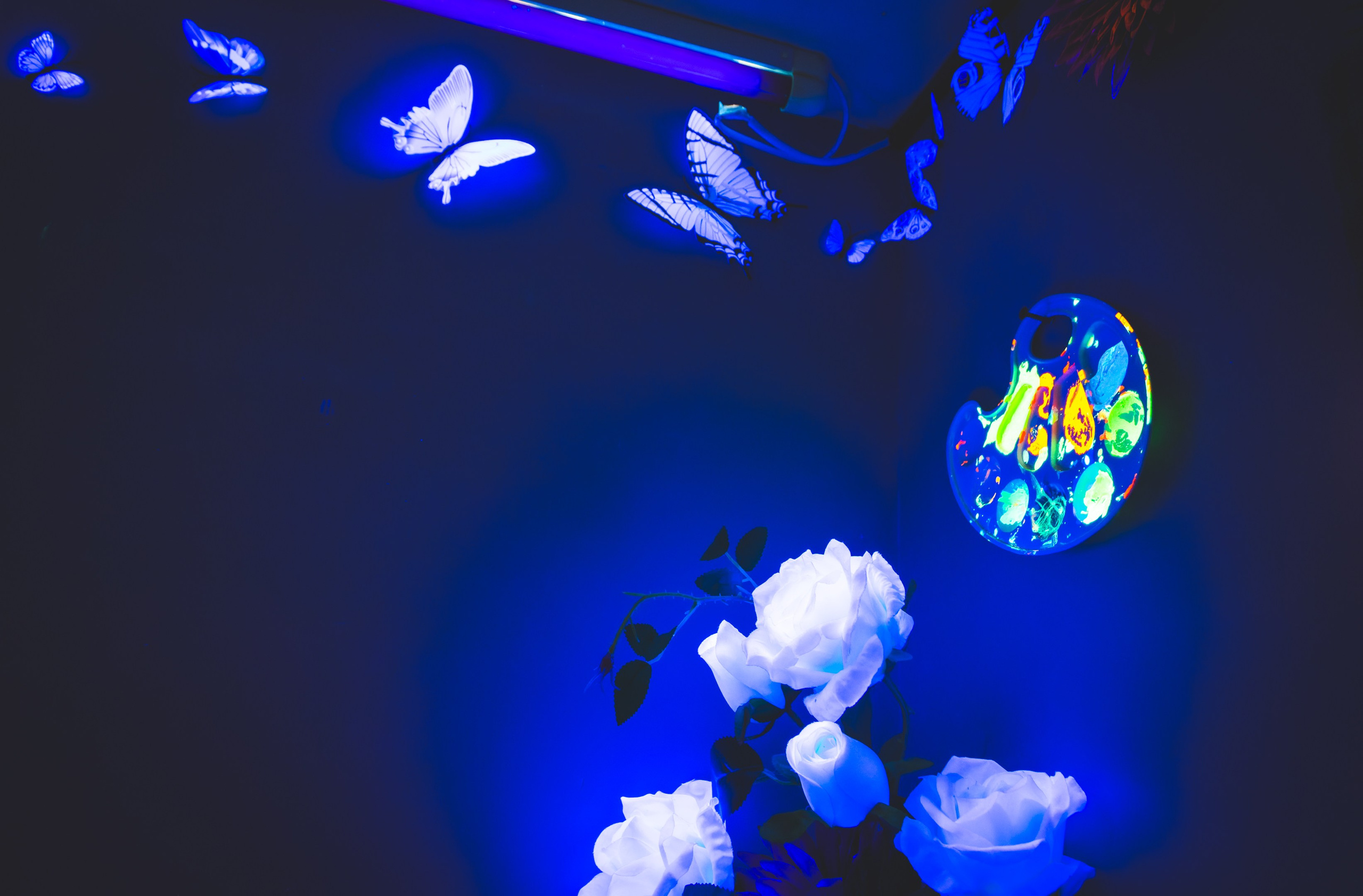 Puhkus Peterburis (Ermitaaž, Shadow muuseum, Grand Maket Venemaa, ArtMuza). Nebula 25 — Fotod teie hingele