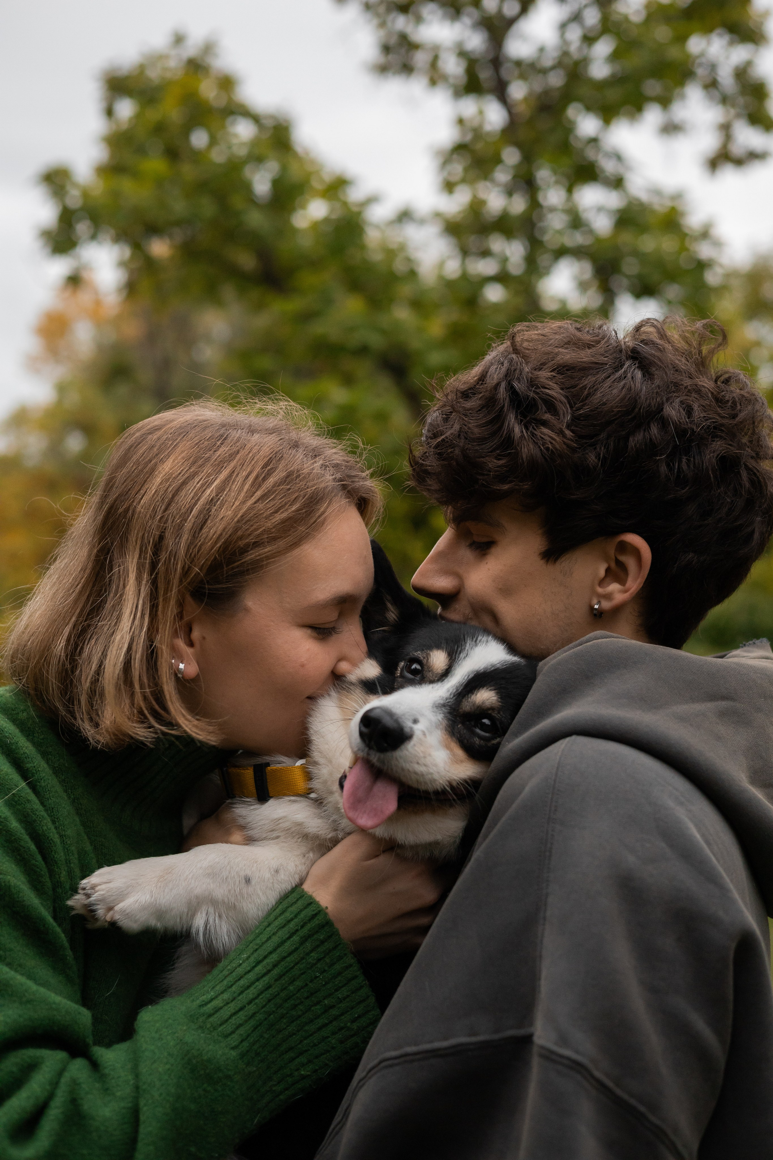 Даня, Аня и Плюша. Фотограф-анималист | Белград