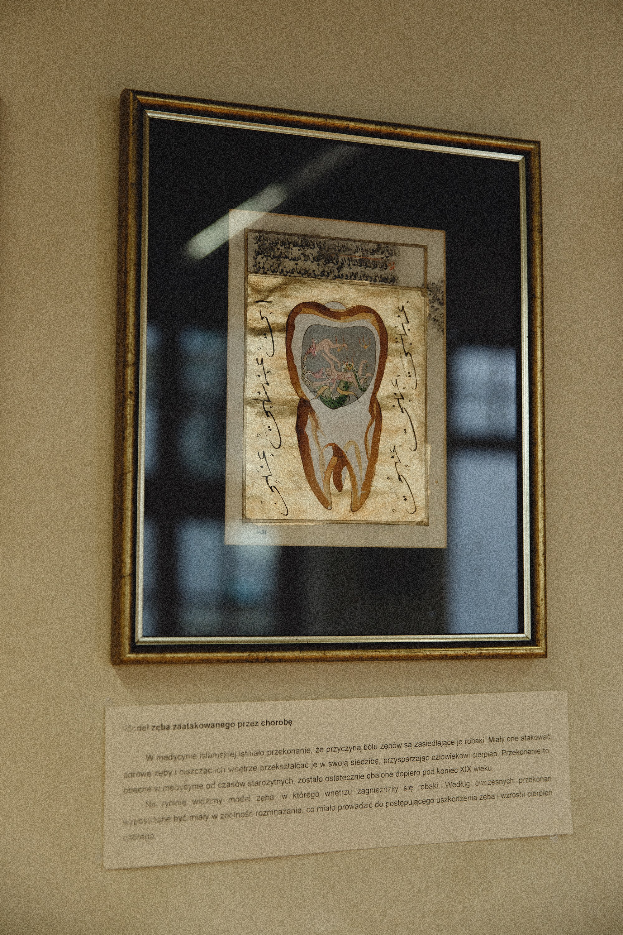 Museum of farmacy in Wroclaw. Kaja | fotograf we Wrocławiu | ludzie i psy