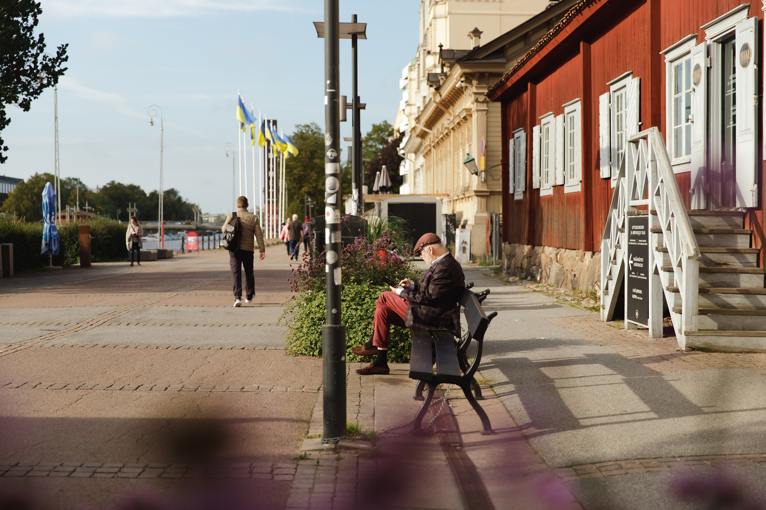 Turku. Kaja | fotograf psów we Wrocławiu
