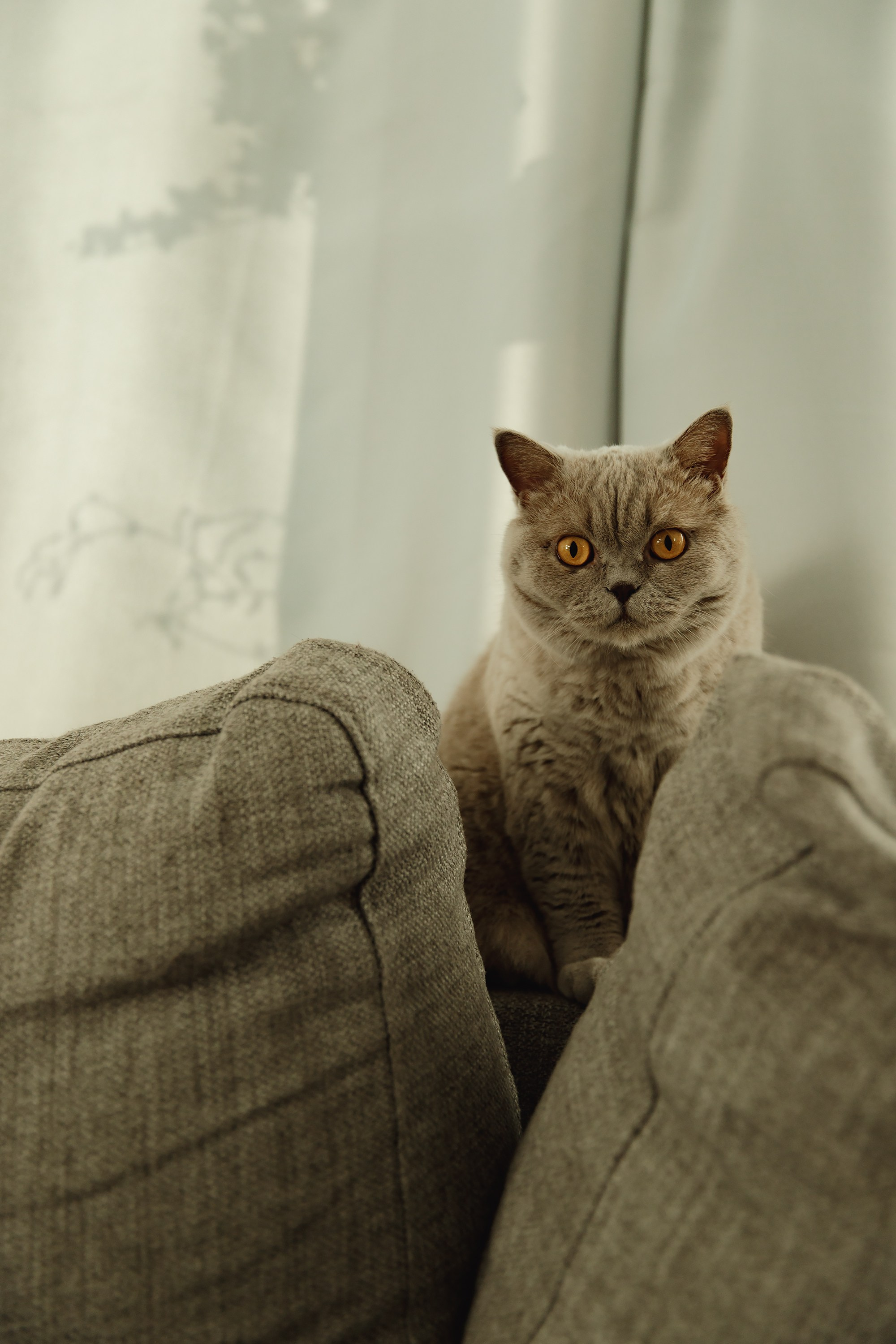 Boczka & Dimitrii. Kaja | fotograf we Wrocławiu | ludzie i psy