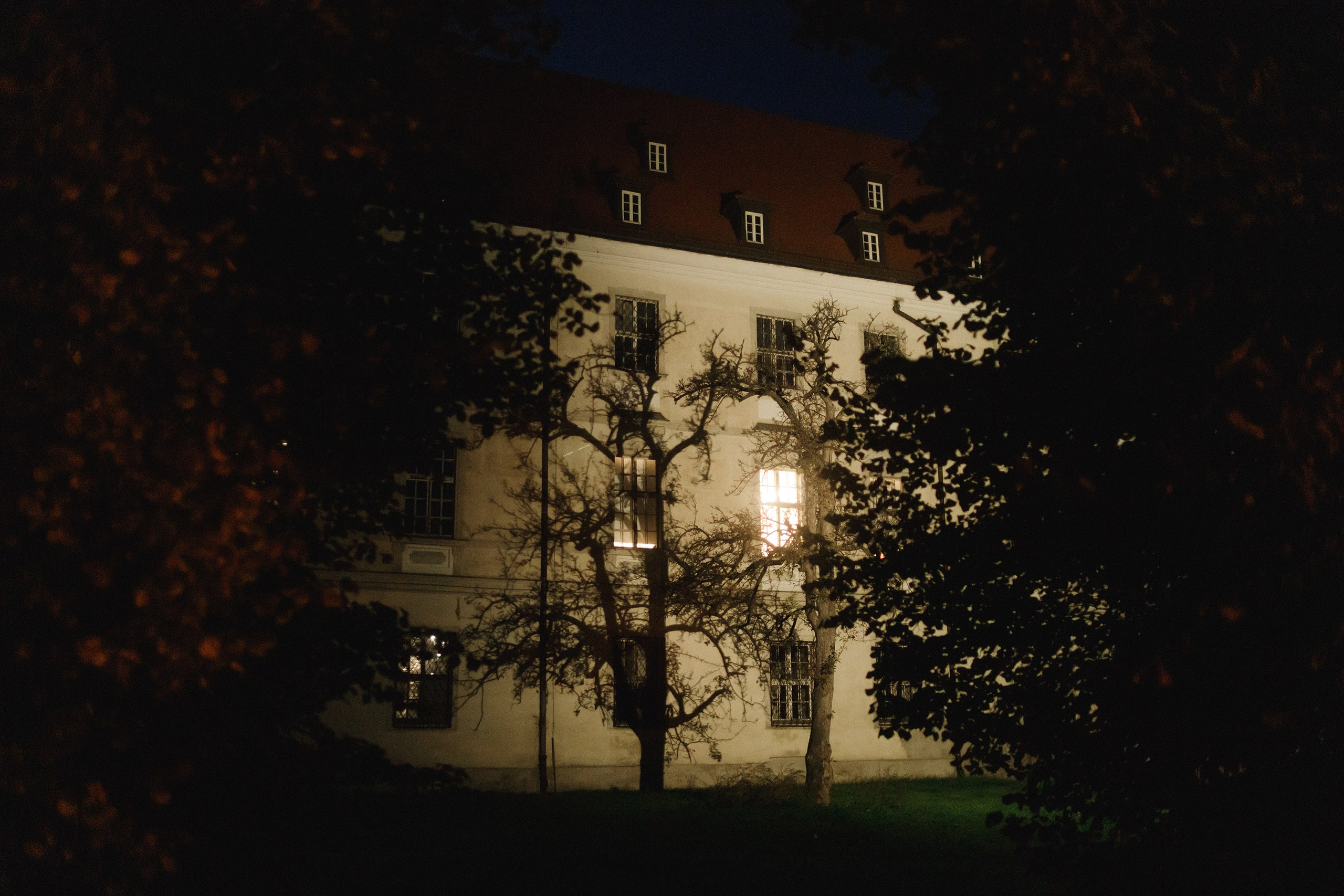 Nastya. Kaja | fotograf psów we Wrocławiu