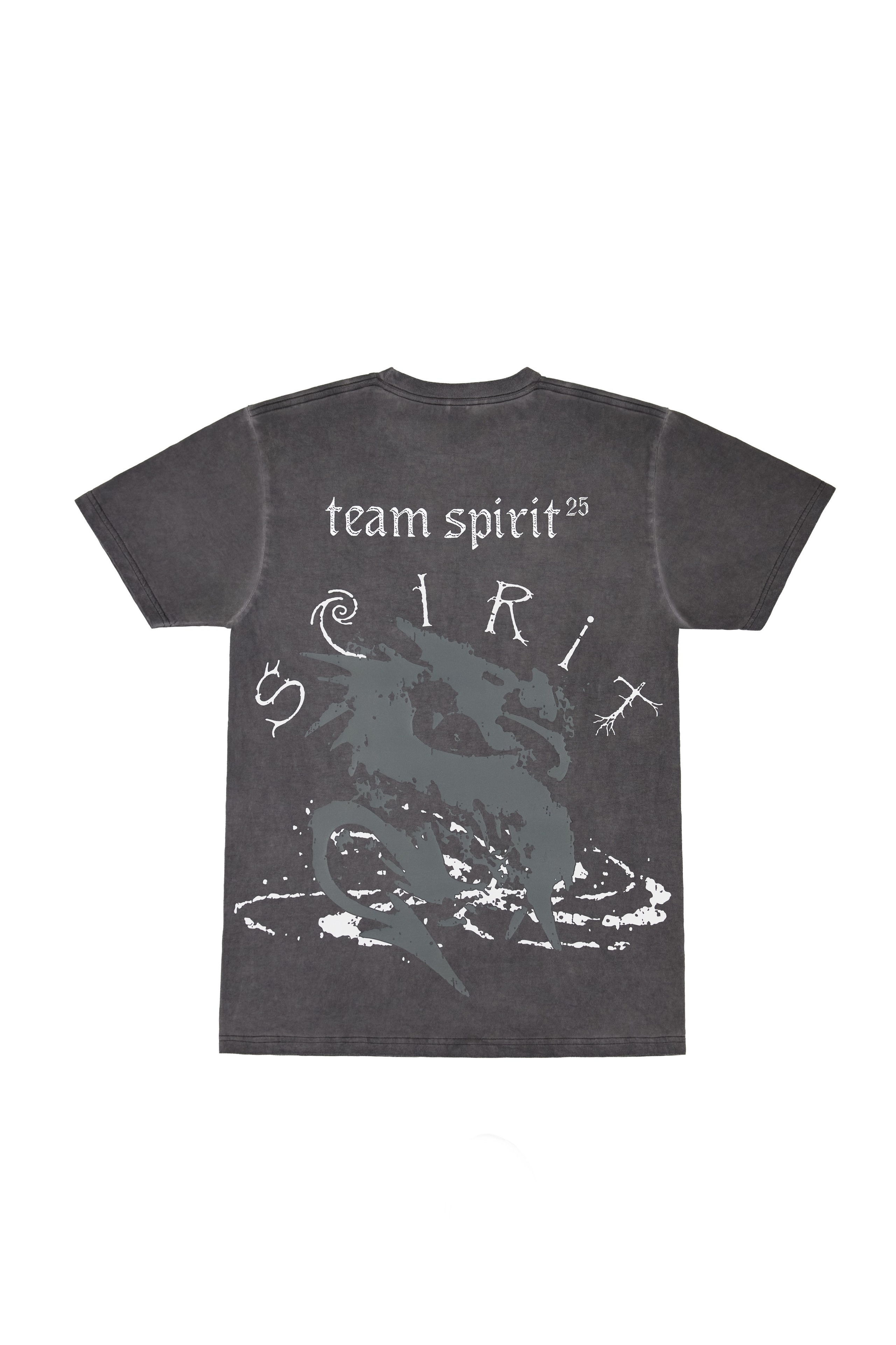 Team Spirit (merch). Photographer Inna Gainulina