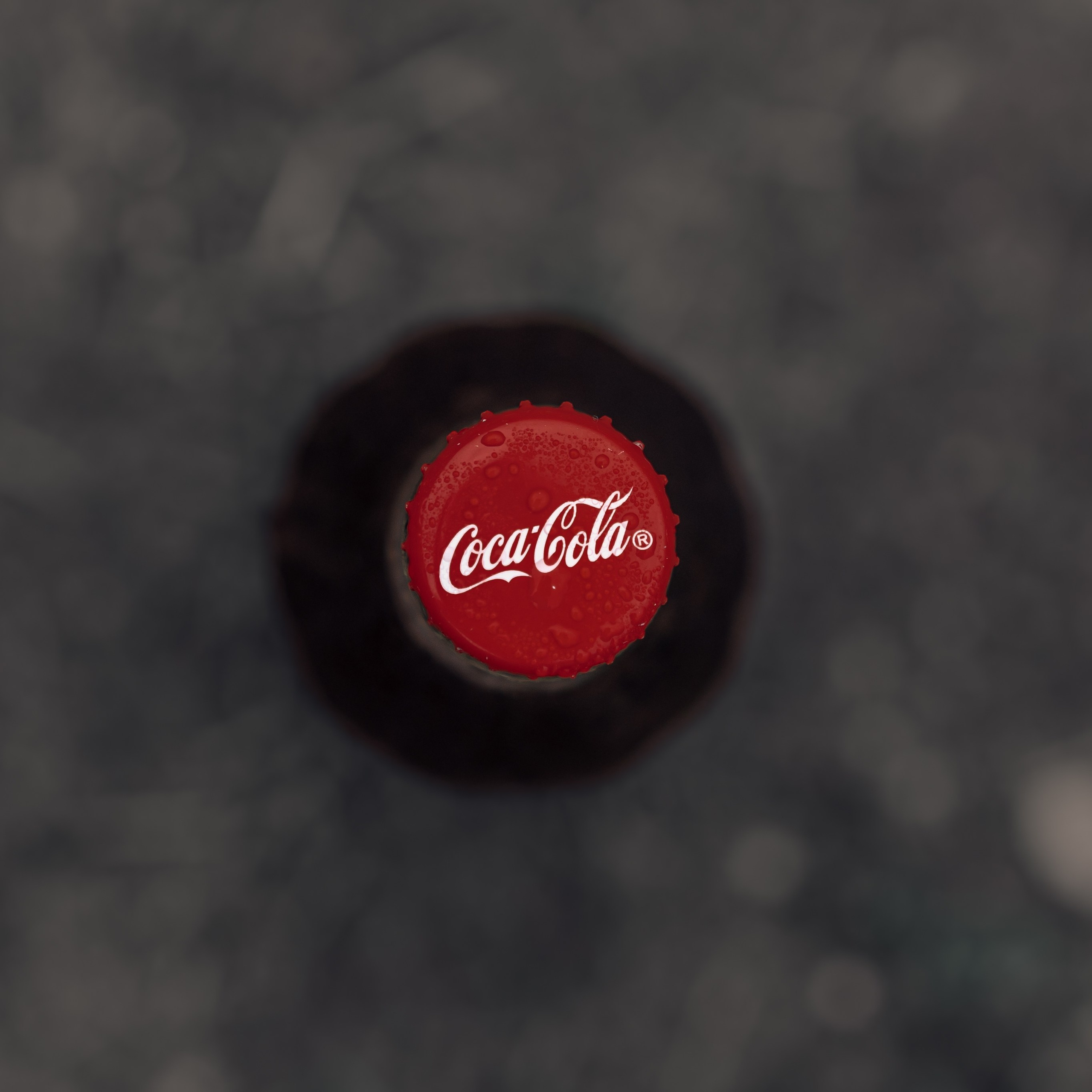 Food Content Creator for Local Cafes and Restaurants in Los Angeles