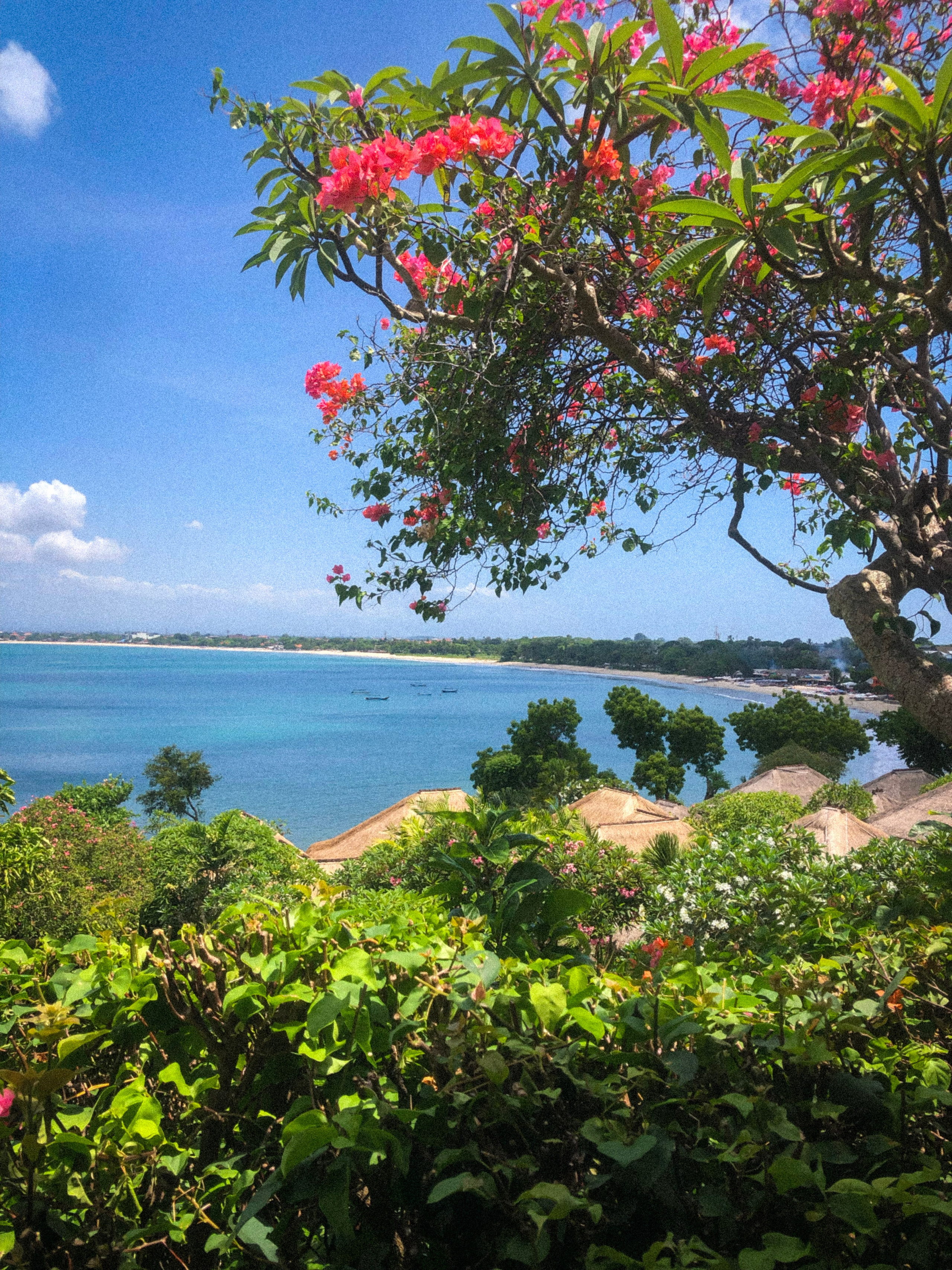 Balinese Days. BNW Around Photography