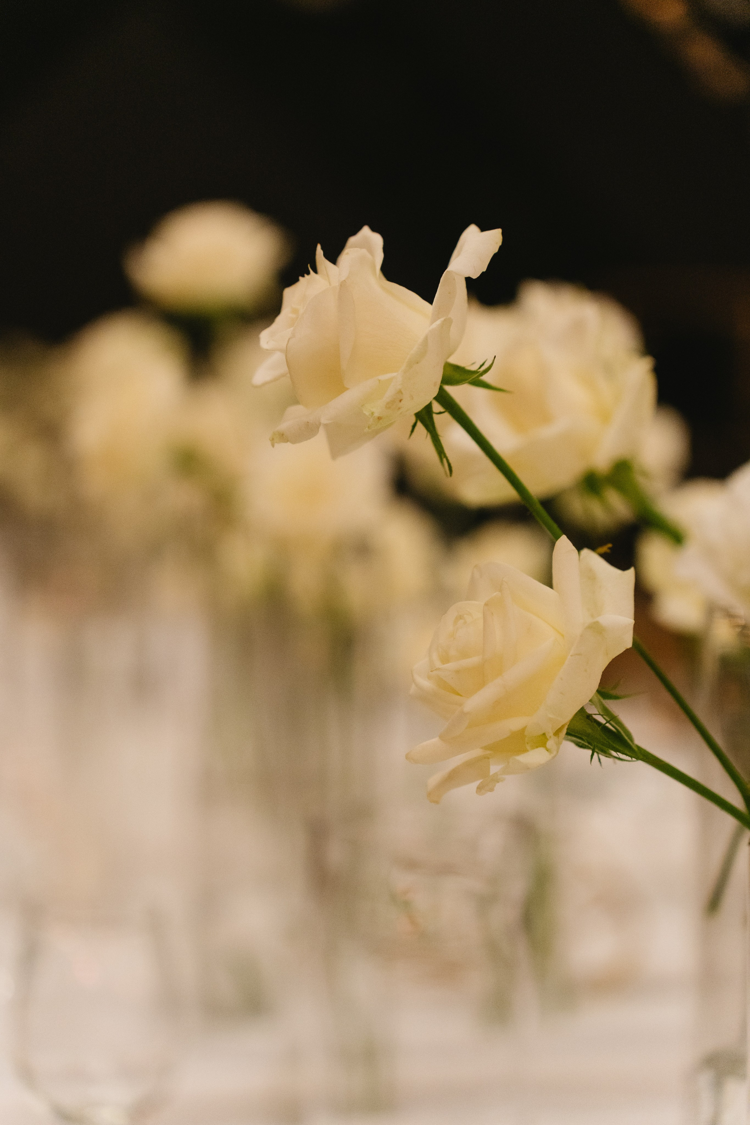 Interior & Venue. Portrait & Event Photography | Israel | David Shafirov