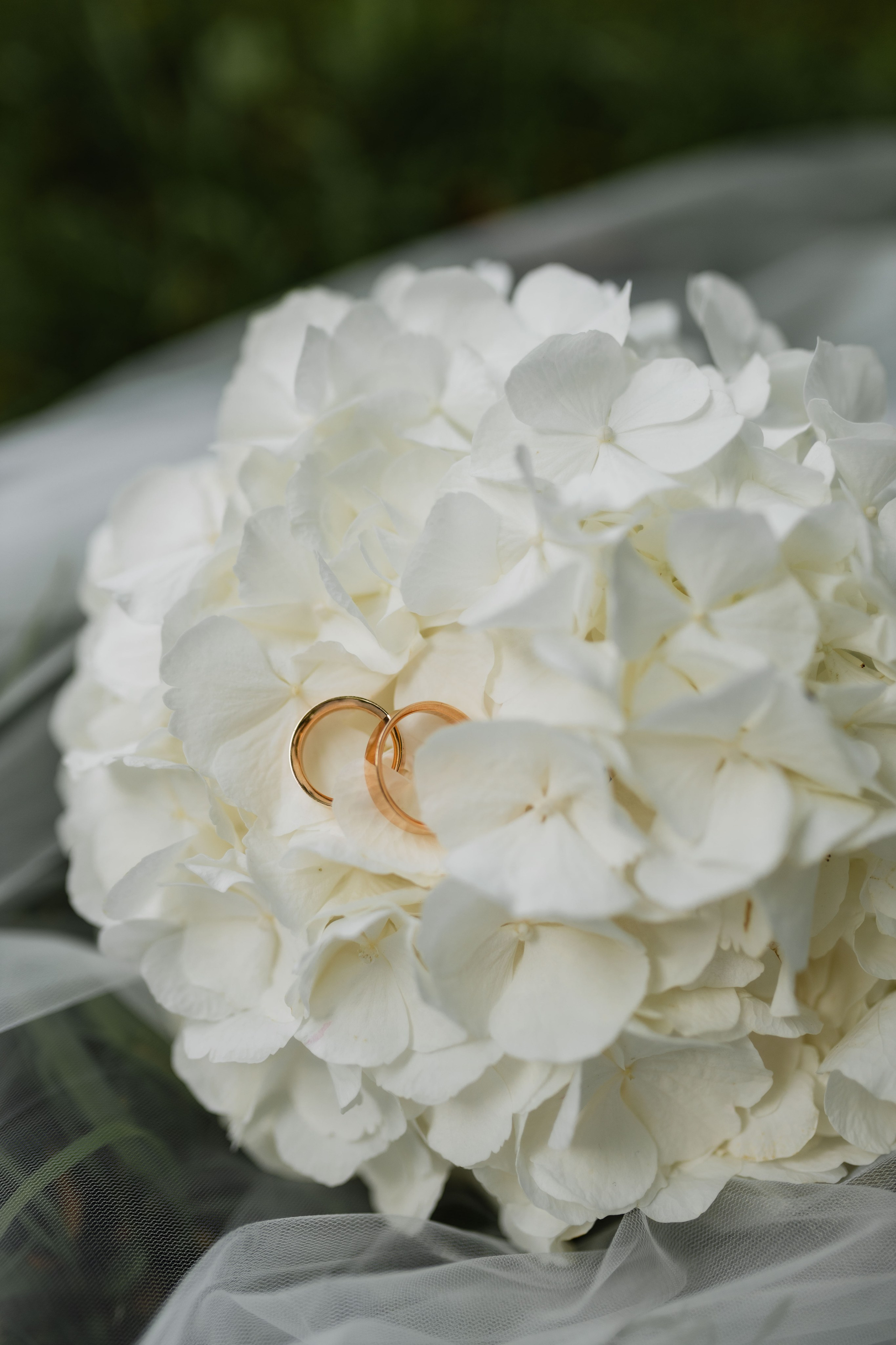 Лана&Дмитрий. Фотограф Даугавпилс/Рига Виктория Нитиша