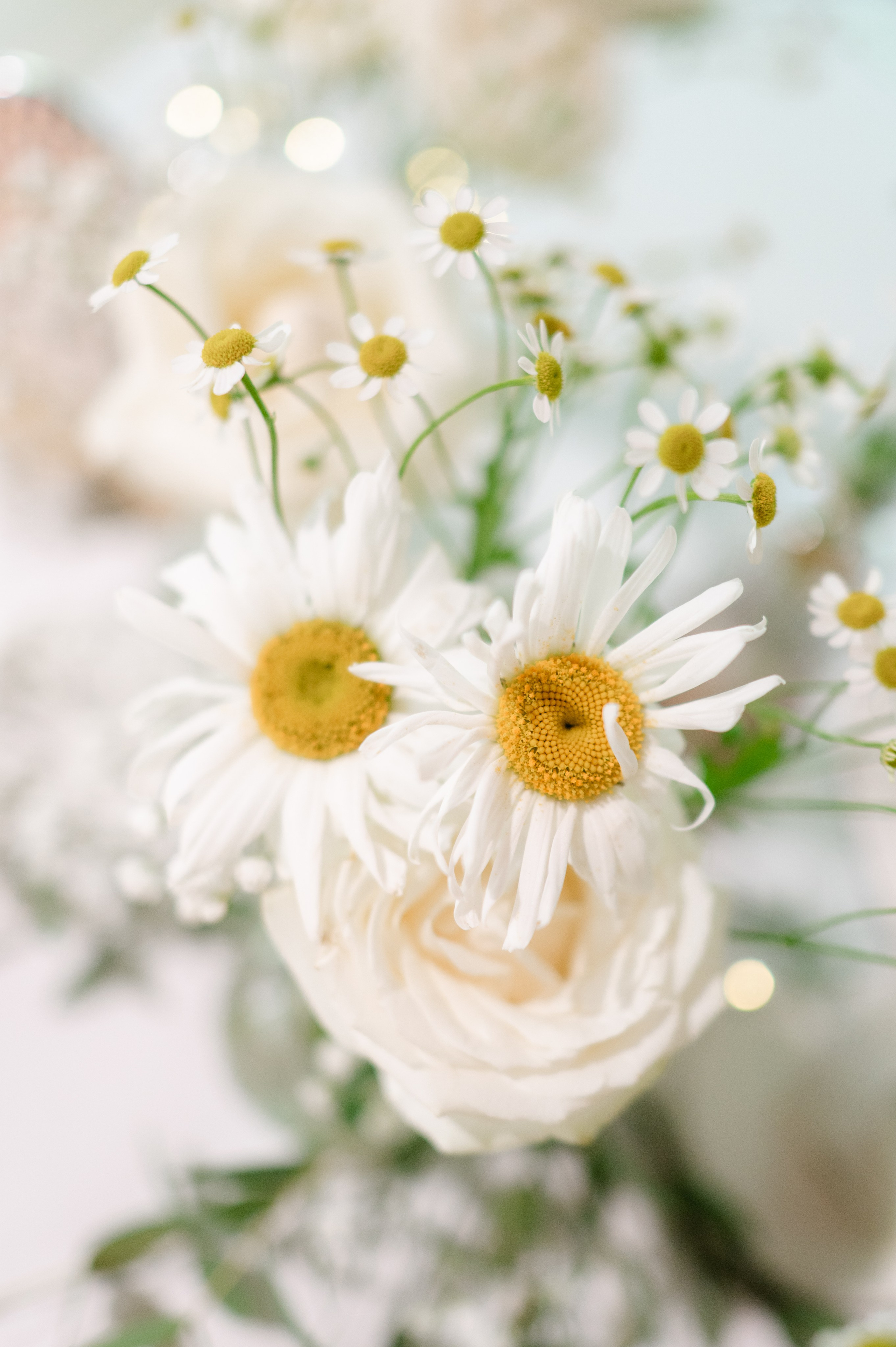 Alexandra + Adrian | Wedding. Alexandra Hanu Photographer